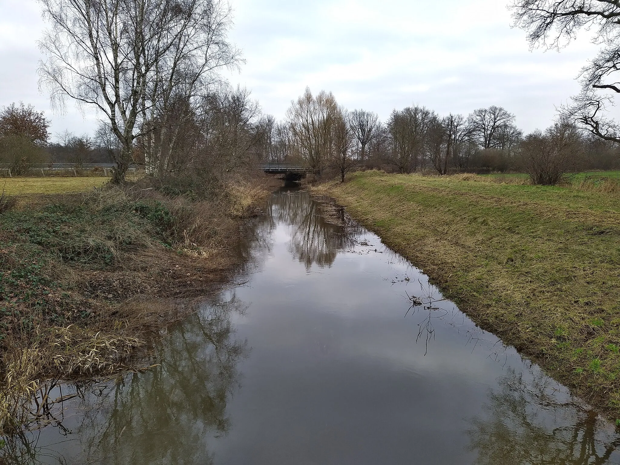 Photo showing: Neue Aue bei Ehlershausen, Blick nordwärts