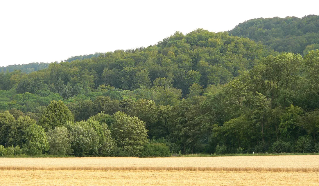 Photo showing: The cone-shape hill of the Hallermundskopf, part of the Kleine Deister, Lower Saxony, Germany