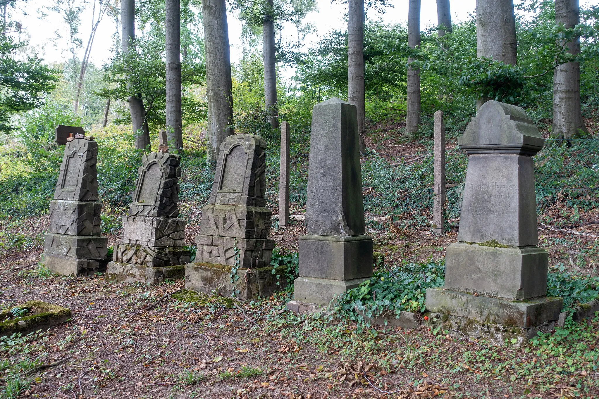 Photo showing: Jüdischer Friedhof in Blomberg-Cappel