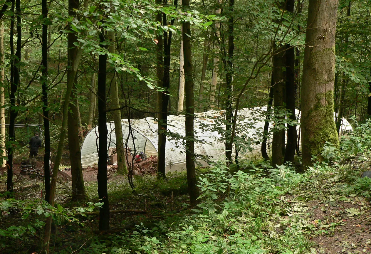 Photo showing: Waldglashütte an der Holzminde, Blick auf das Grabungszelt vom Zuweg aus