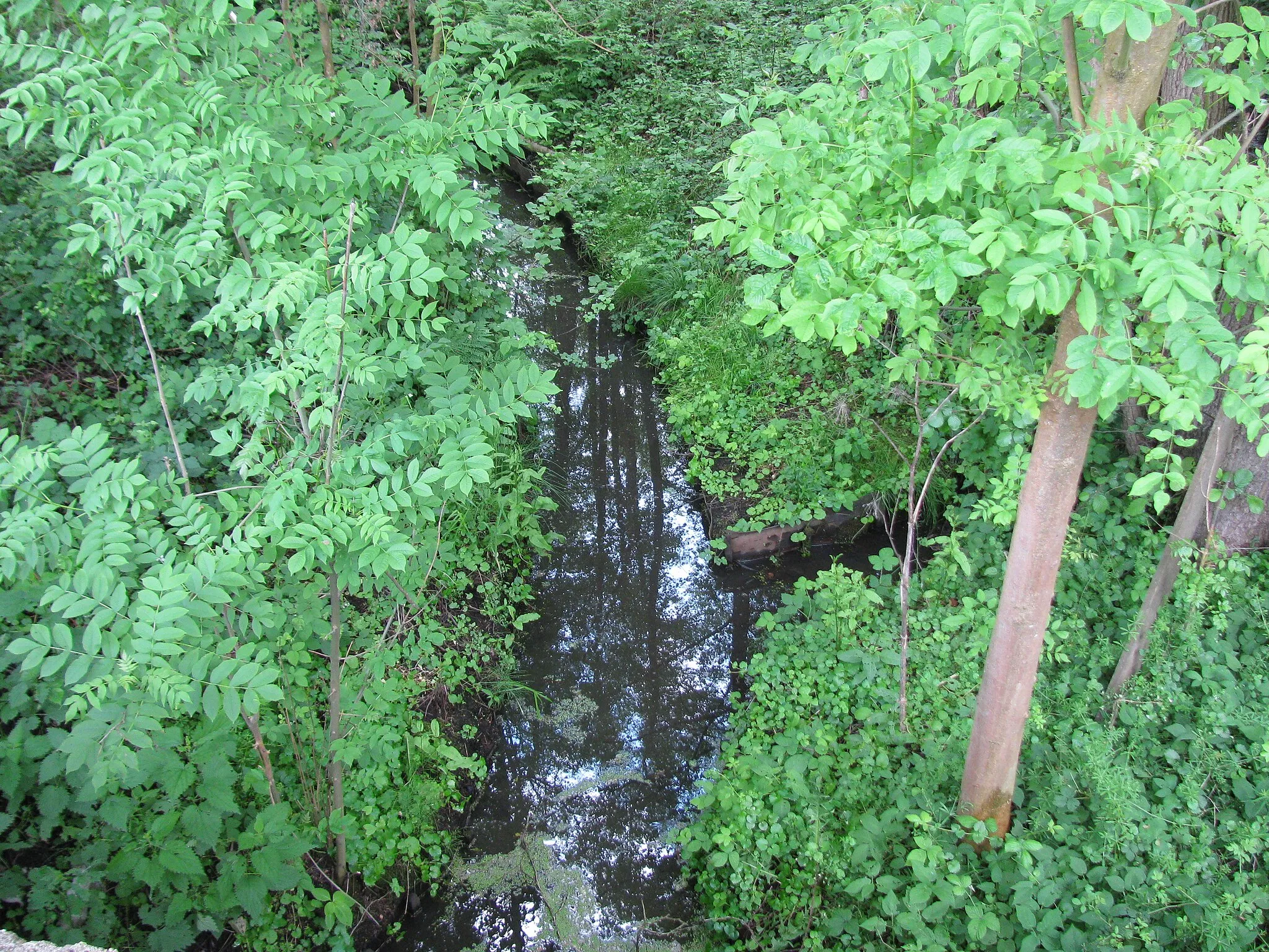 Photo showing: der Johannisgraben oberhalb (westlich) der Langenhagener Straße in Schlage-Ickhorst mit einem schmalen Zulauf von der nördlichen Seite; und man sieht, dass die Gräben teilweise befestigt sind