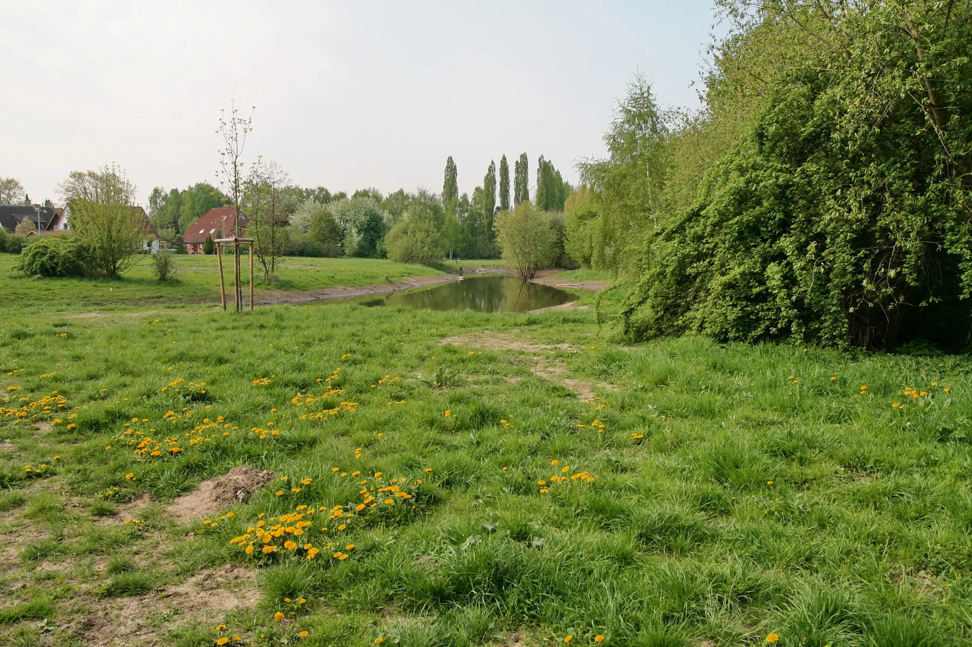 Photo showing: Alte Südaue in Blumenau (Wunstorf), Niedersachsen, Deutschland.