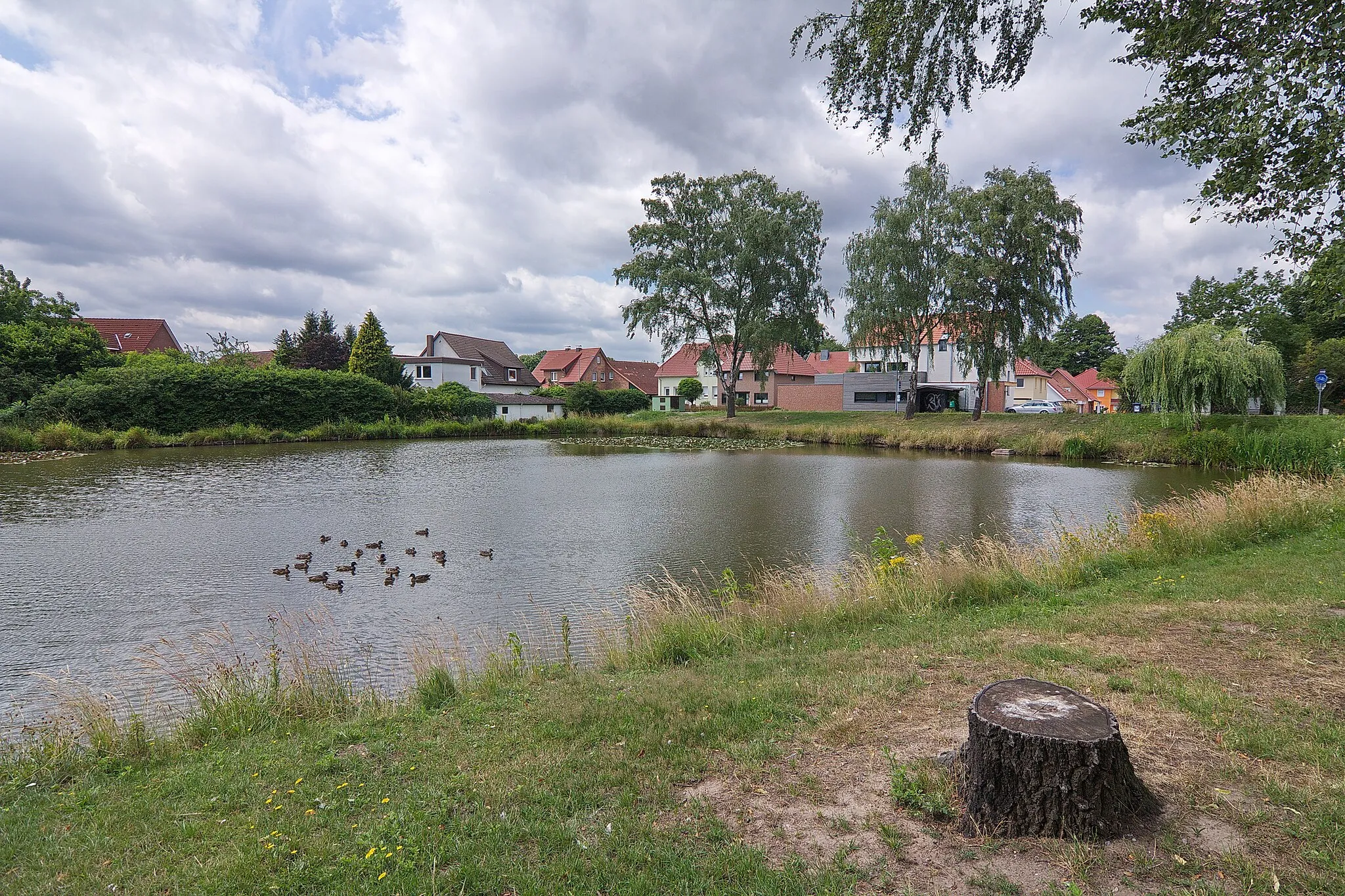 Photo showing: Dorfteich in Bordenau (Neustadt am Rübenberge), Niedersachsen, Deutschland