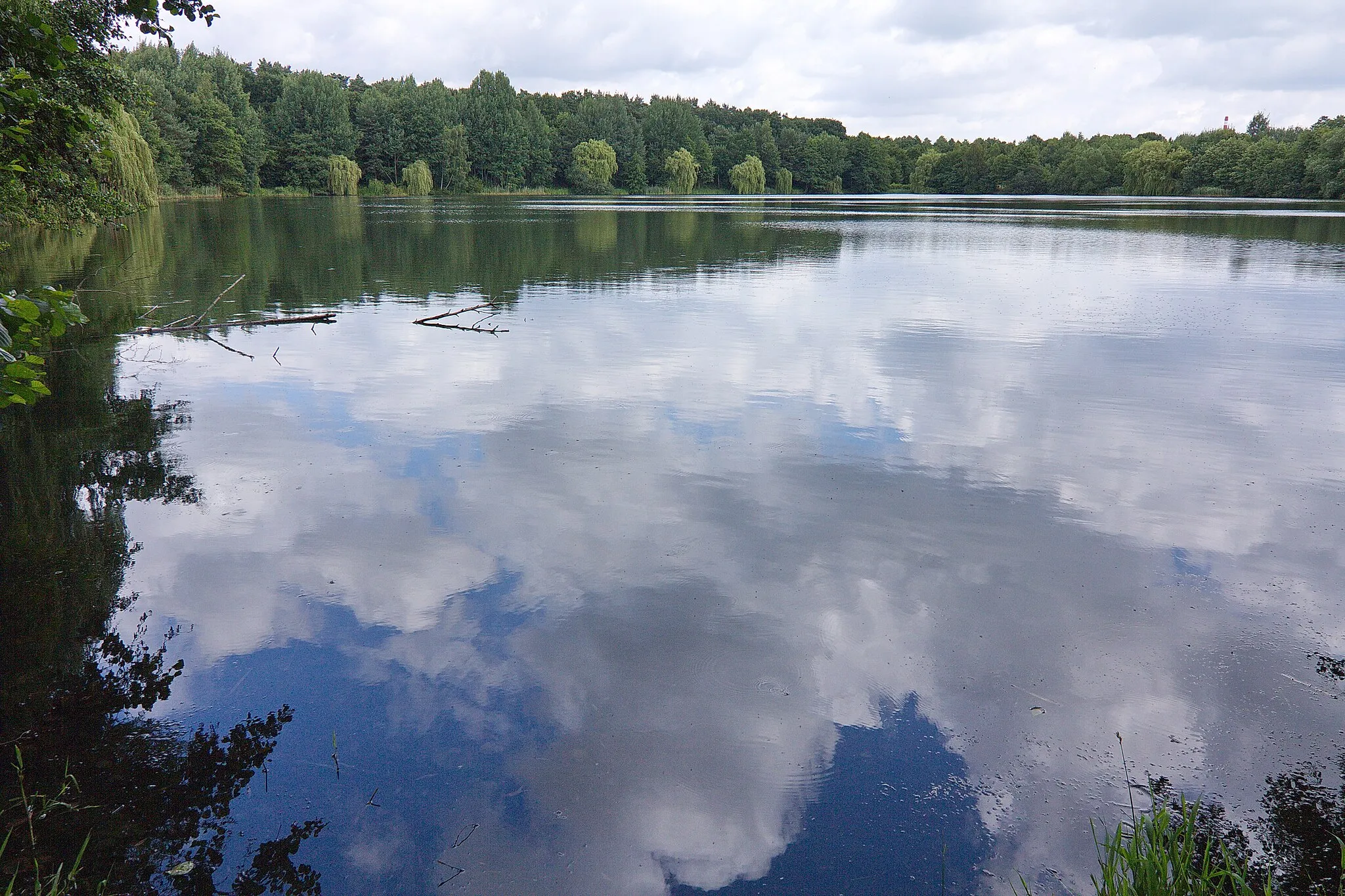 Photo showing: Bordenauer See im LSG Mittlere Leine bei Bordenau (Neustadt am Rübenberge), Niedersachsen, Deutschland