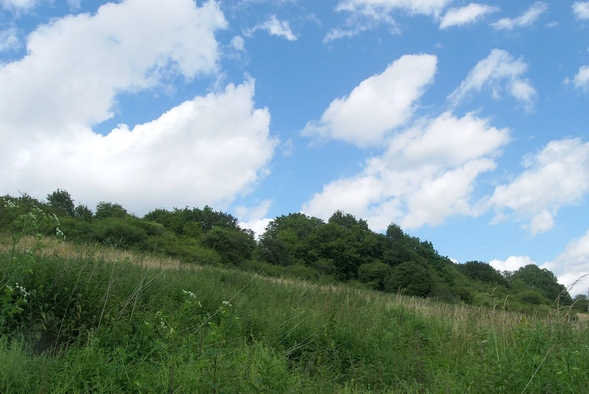 Photo showing: Naturschutzgebiet Steinberg bei Wesseln