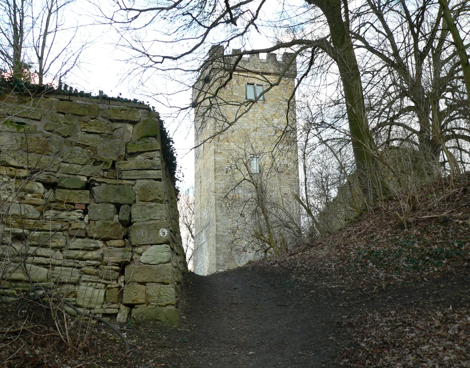 Photo showing: Burg Wohldenberg