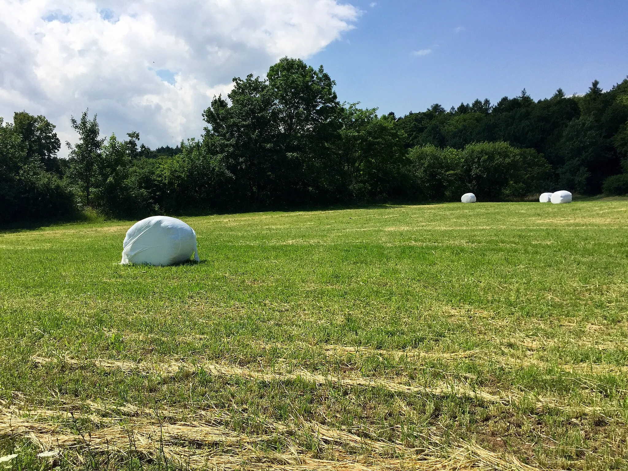 Photo showing: Blick auf das Naturschutzgebiet Finkenberg/Lerchenberg