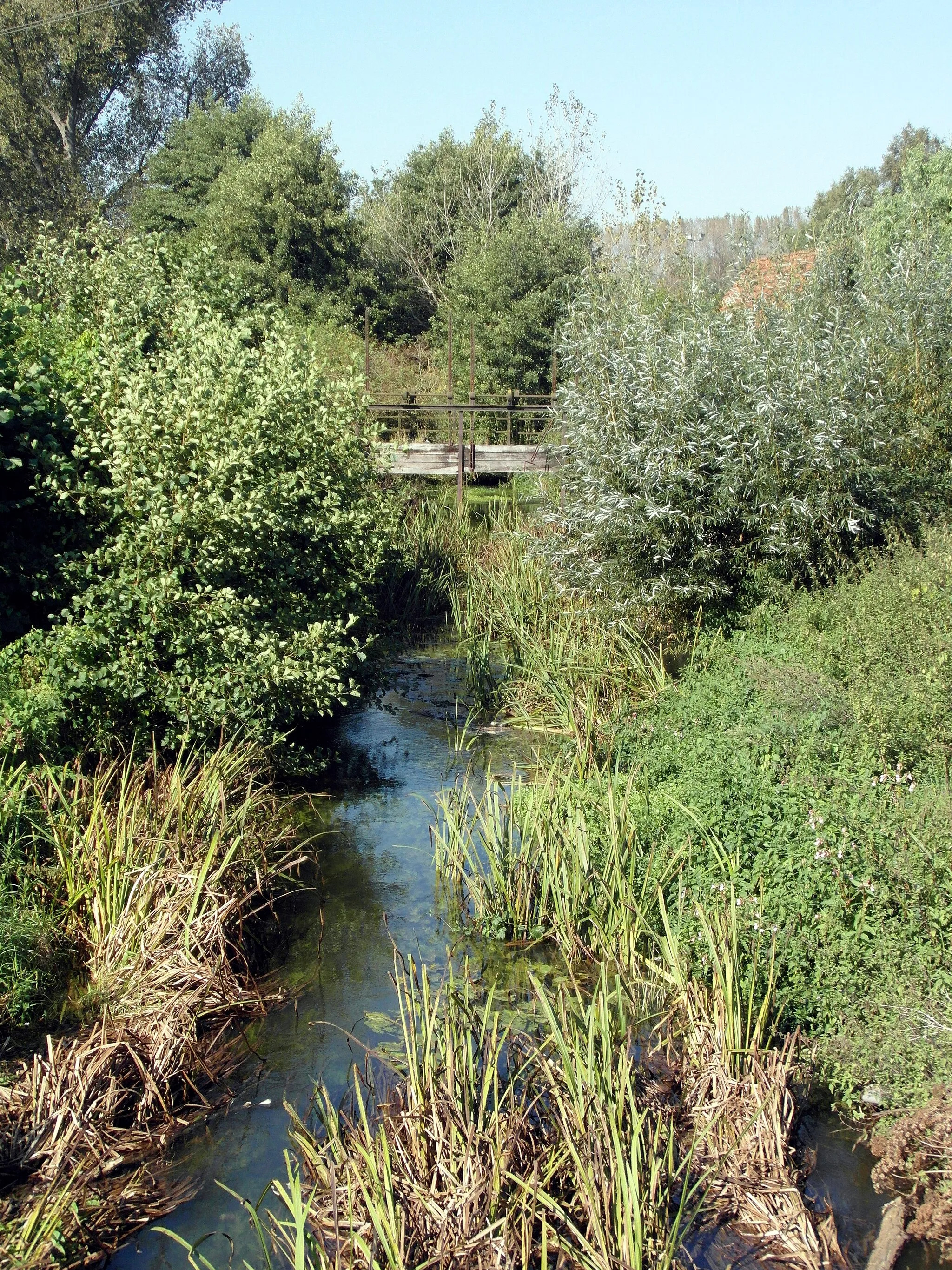 Photo showing: Die Südaue hat südlich von Groß Munzel die L392 unterquert und fließt nach Nordwest