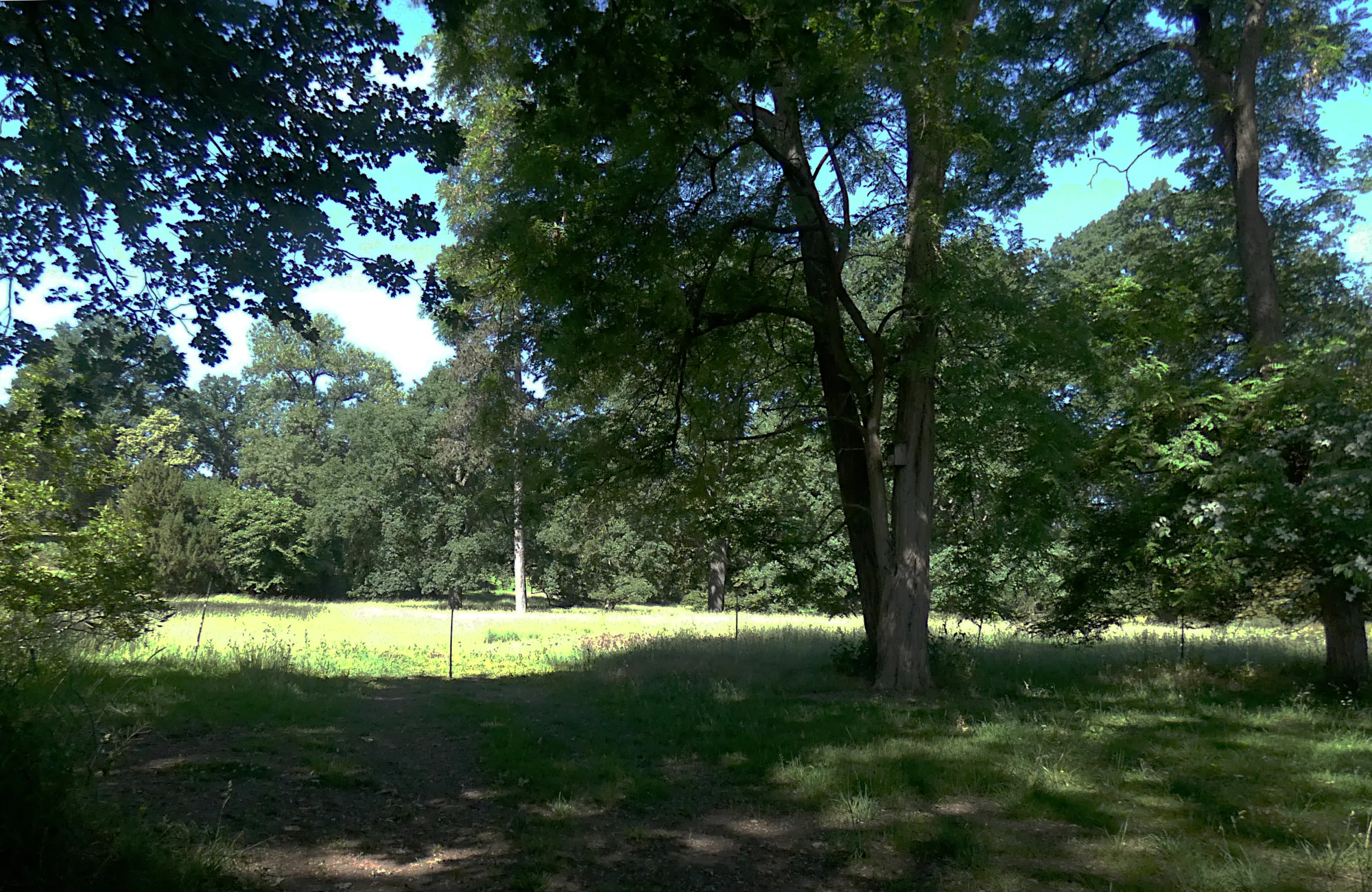 Photo showing: Park von Gut Reden