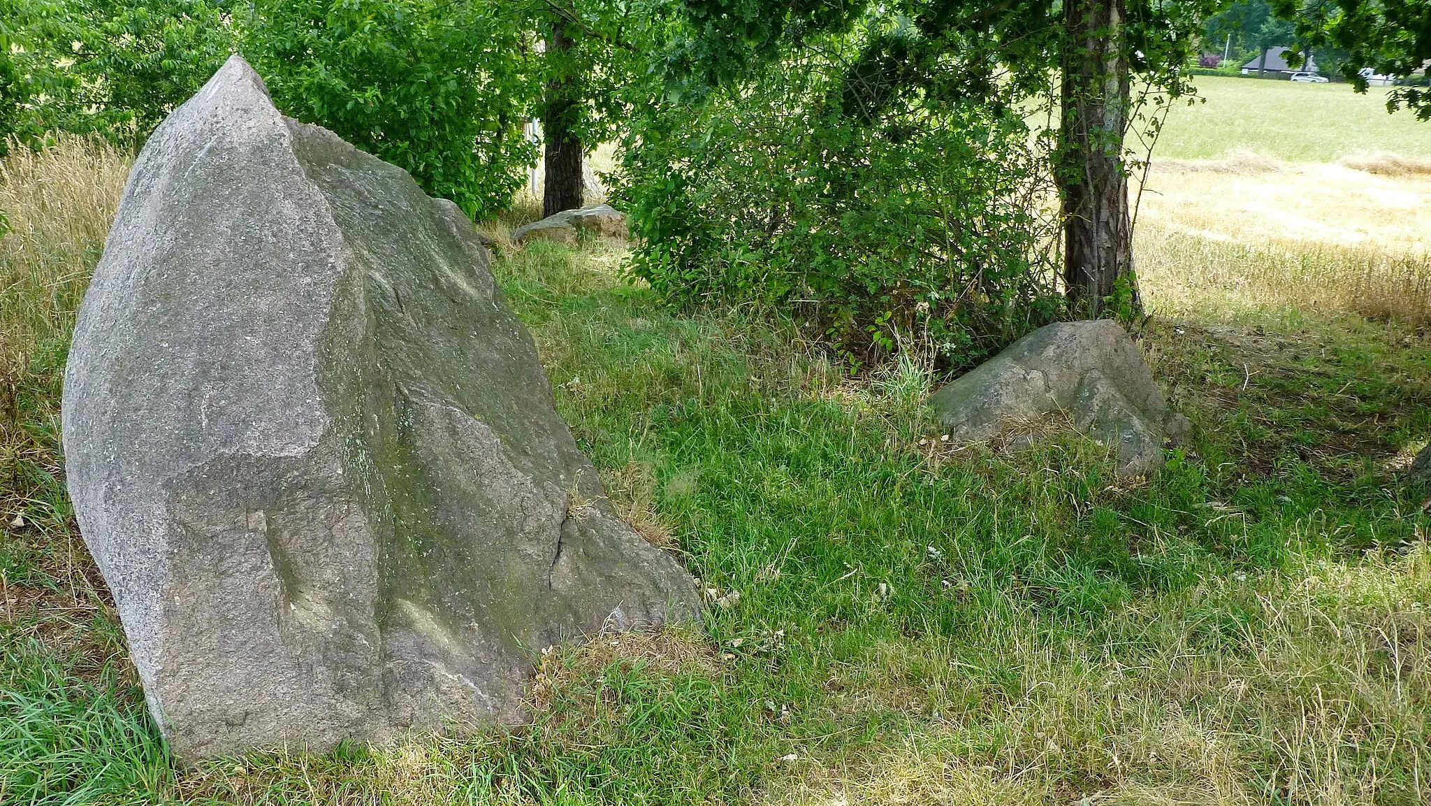 Photo showing: Das Naturdenkmal „Goliathstein“ (ND-H 174) liegt in einer Baumgruppe zwischen Meerstraße und K 347, östlich von Mardorf. Eine Informationstafel gibt ausführlich Auskunft über die geologischen und volkstümlichen Hintergründe dieses Findlings. Der Goliathstein wurde durch Sprengungen nach 1900 wesentlich verkleinert, einzelne abgesprengte Reste liegen um den Findling herum.