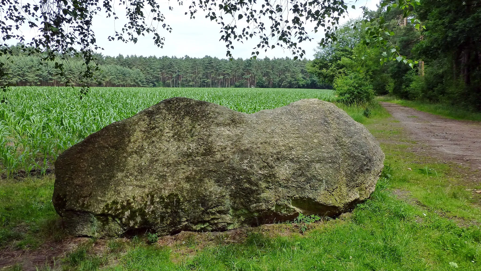 Photo showing: Das Naturdenkmal „Paul-Woldstedt-Stein“ (ND-H 128) liegt nordöstlich von Mardorf am Hochmoorweg, am Fuße der Bockelnberge. 
Der rötlich-graue Granit weist eine deutliche faserige Parallelstruktur auf und kann deshalb als Gneisgranit bezeichnet werden.