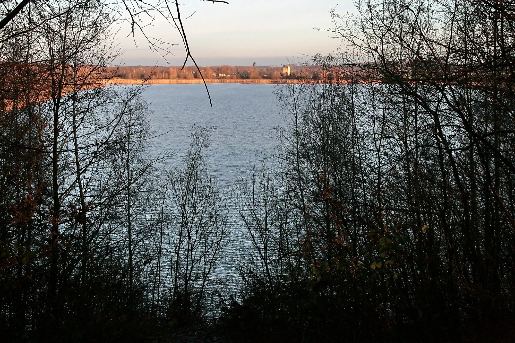 Photo showing: Naturschutzgebiet Auflandeteich Groß Bülten-Adenstedt, Ilsede