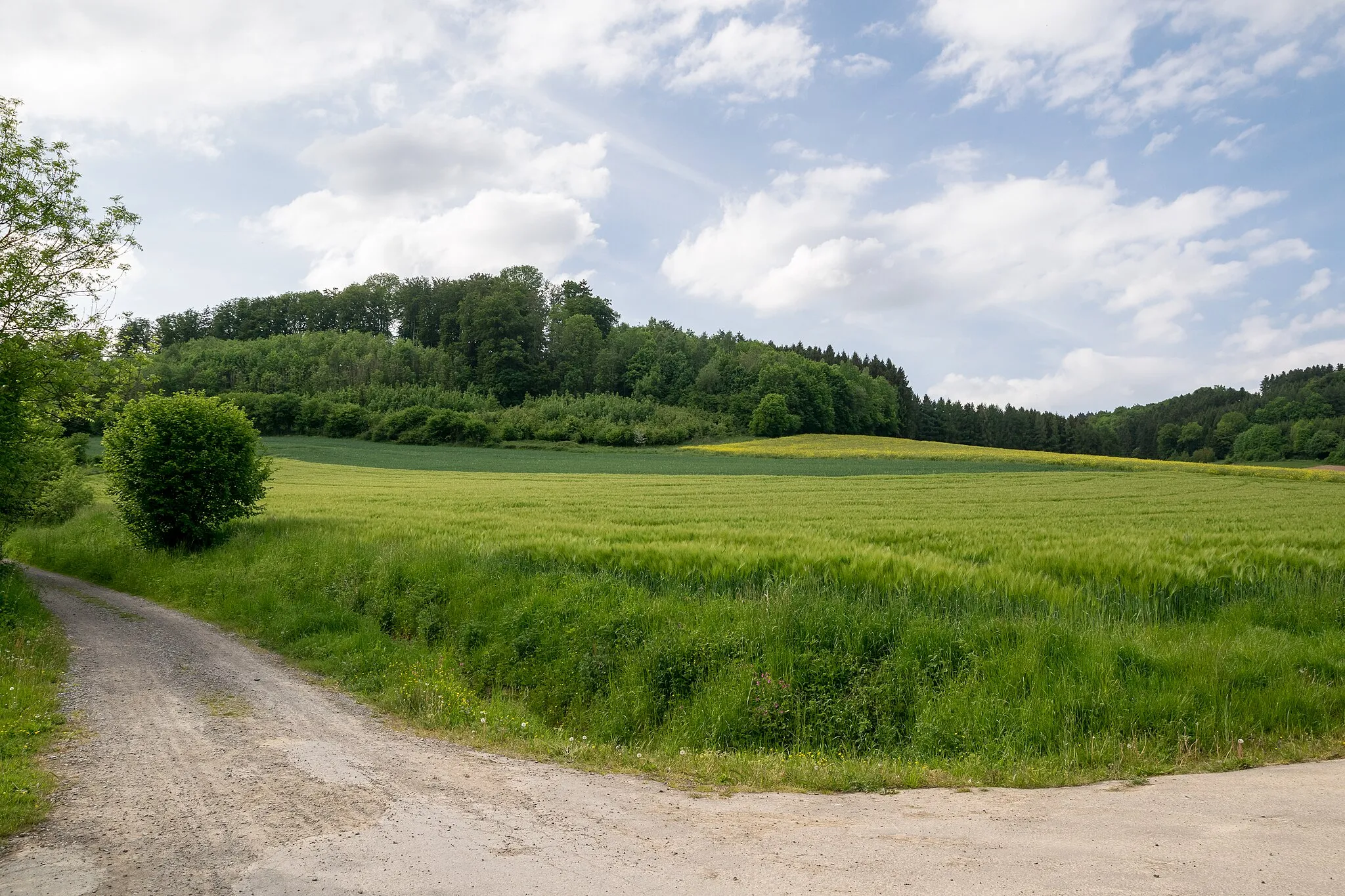Photo showing: Landschaftsschutzgebiet Pyrmonter Bergland sowie südliches Lipper Bergland um den Eschenbach in Lüge (im Hintergrund das LSG Emmertal in Bad Pyrmont)