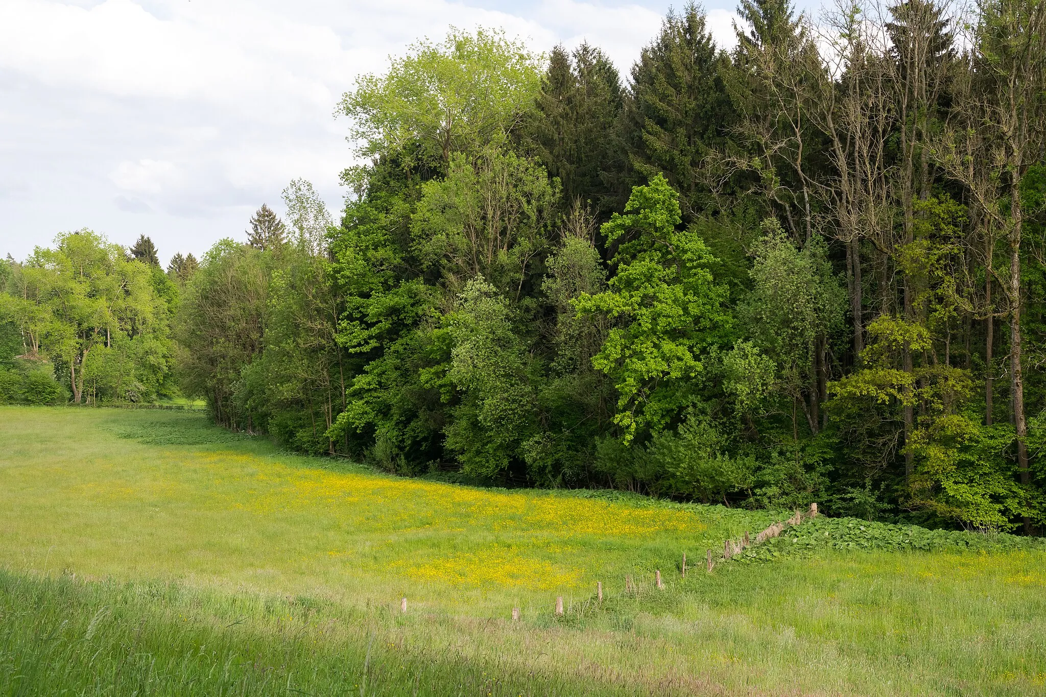 Photo showing: Naturschutzgebiet Emmertal (LIP-021), Bereich am Eschenbach in Lügde, Kreis Lippe