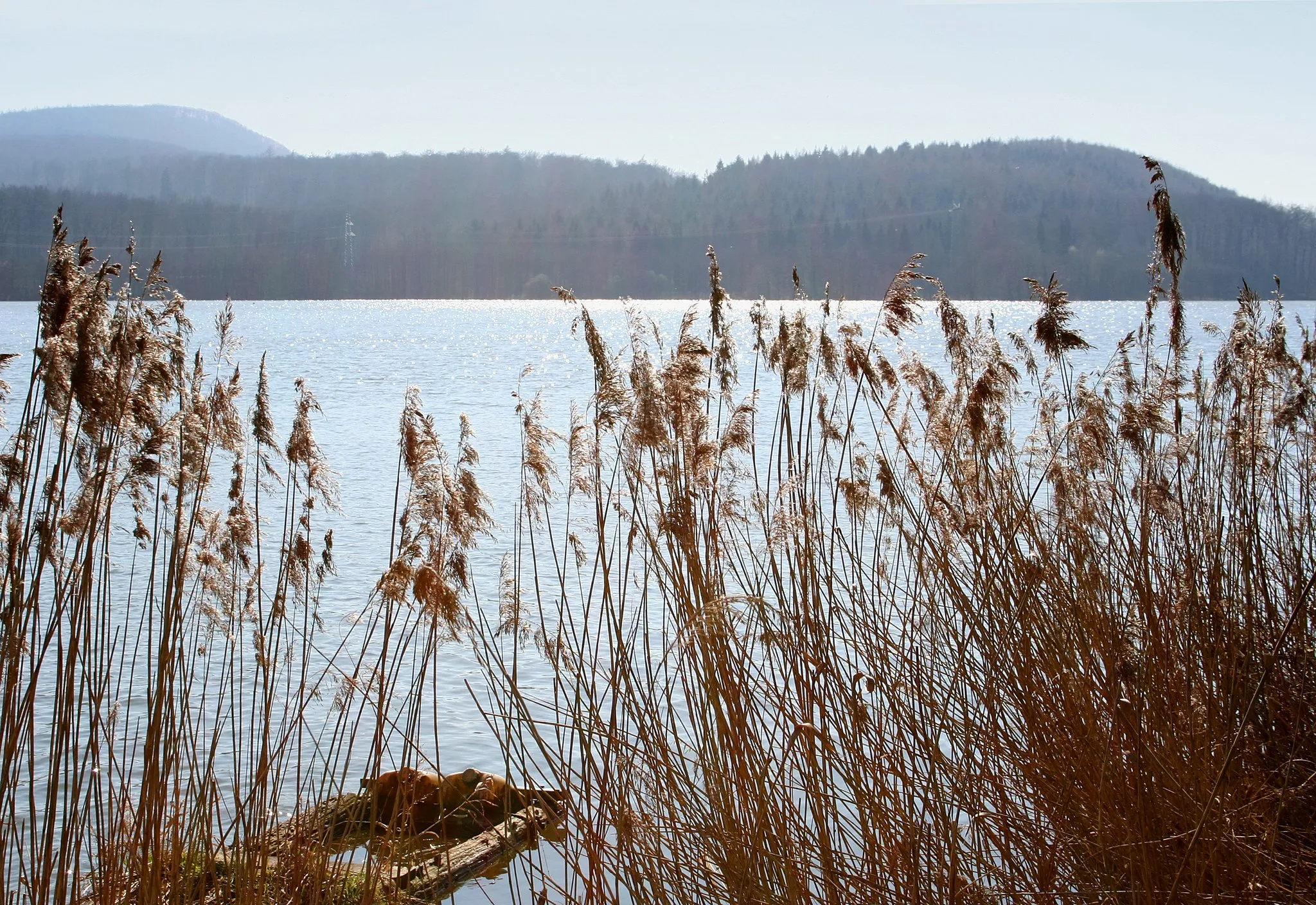 Photo showing: Emmerstausee ("Schiedersee") in Lippe, Germany.