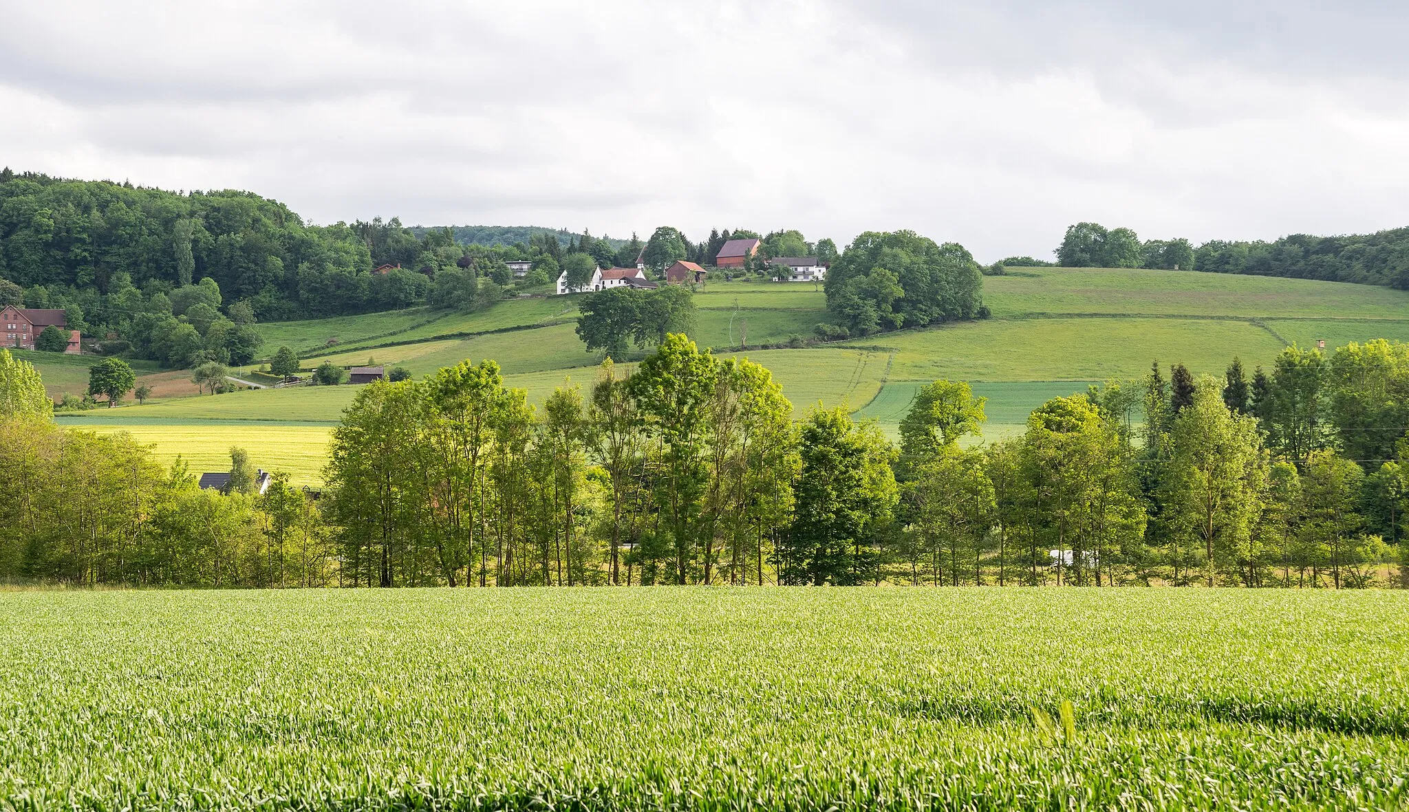 Photo showing: Naturschutzgebiet Emmertal (LP), Teilstück Schieder-Schwalenberg; am Berg im Süden der Ort Harzberg (zu Lügde)