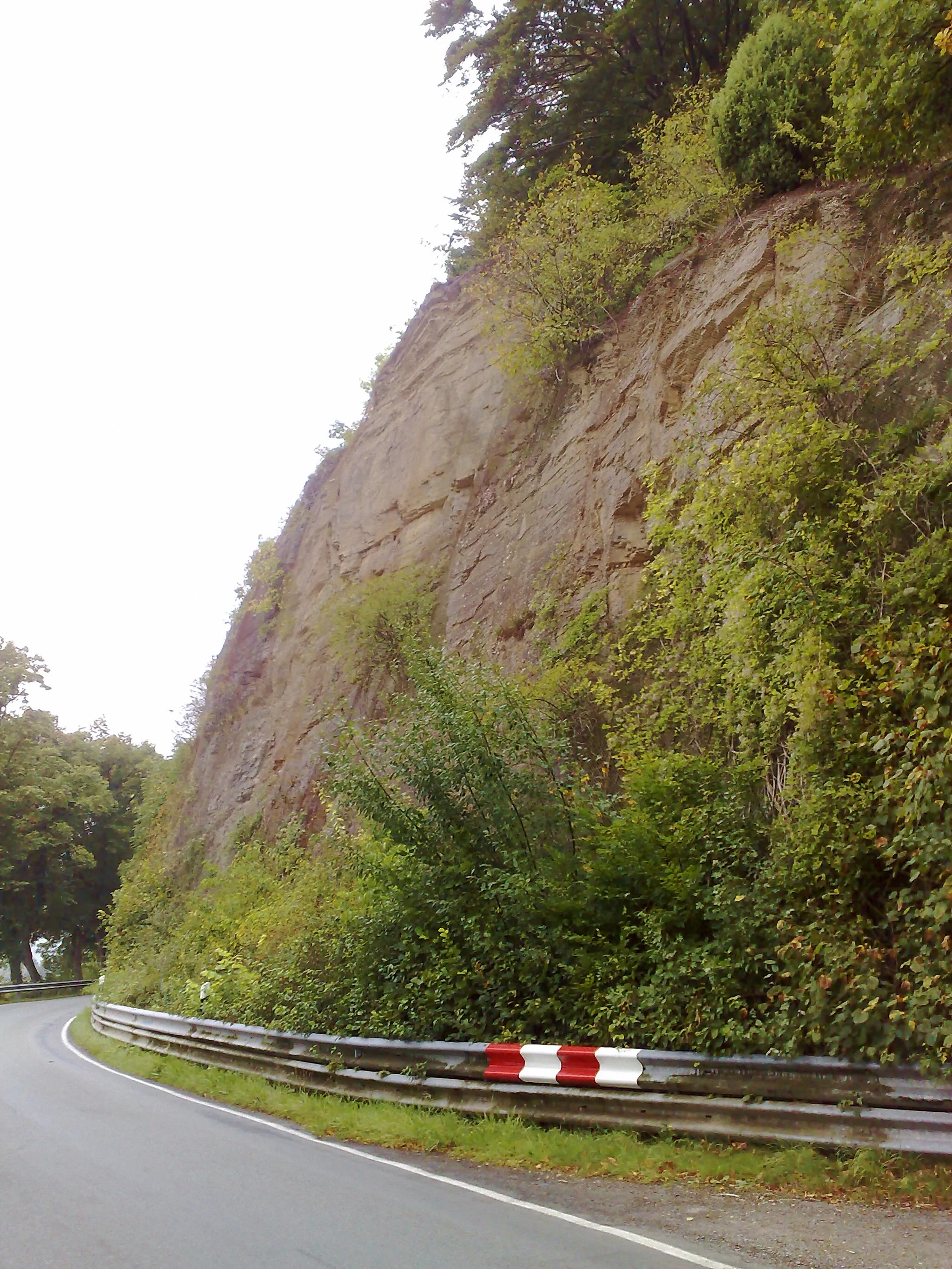 Photo showing: Diese Aufnahme zeigt die Weserklippen im Bereich des Kollberges in Bevern am Ostufer der Weser (direkt östlich der am Weserwestufer gelegenen Ortschaft Grave). Im Bereich des Kollbergs steigt der Prallhang hier bis auf eine Höhe von 208 m ü NN an. Die gesamten Bereiche dieses Prallhanges sind sowohl Teil des Vogelschutzgebiets DE-4022-431 „Sollingvorland“ als auch des Naturparks Solling-Vogler. Weiterhin sind die Hochlagen im Anschluss der Klippen Teil des FFH-Gebiets DE-4022-302 „Burgberg, Heinsener Klippen, Rühler Schweiz“ sowie ebenfalls des Vogelschutzgebiets „Sollingvorland“.