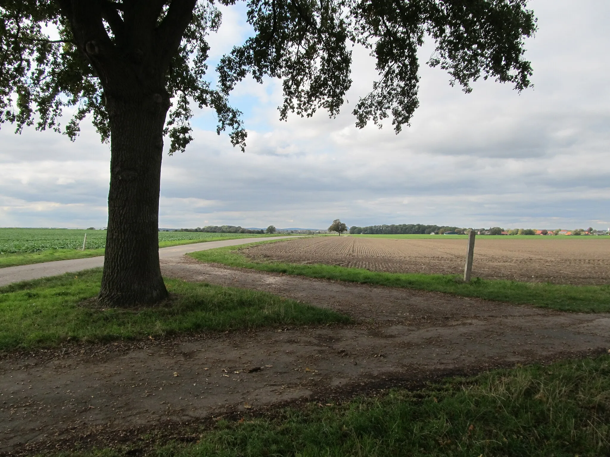 Photo showing: Blick von der Kuppe des Mühlenbergs von Ostermunzel nach Westen