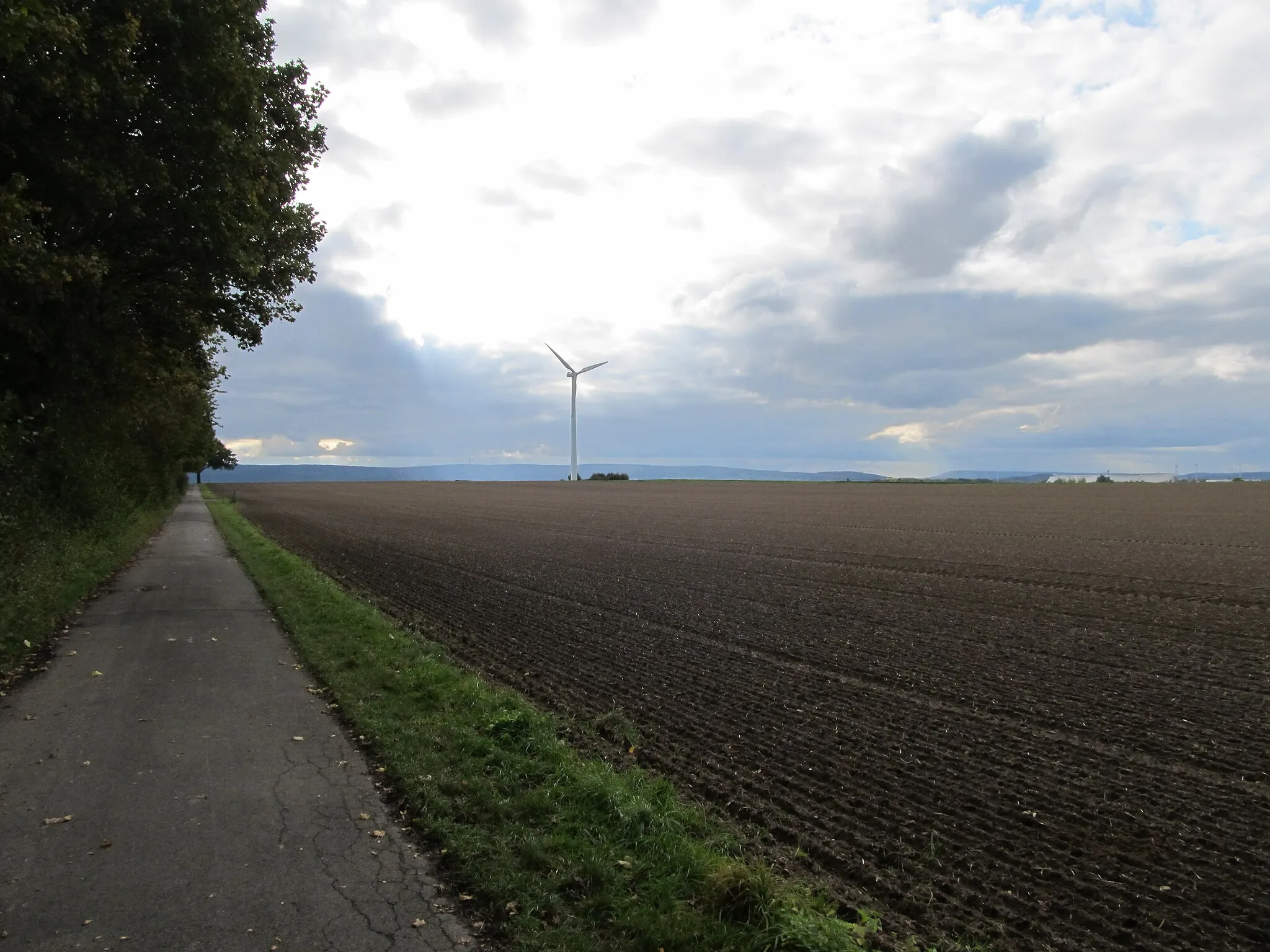 Photo showing: Blick von Norden auf den Mühlenberg von Ostermunzel, der sich hier nur als gerade Linie mit einem dahinter abfallenden Gelände bemerkbar macht
