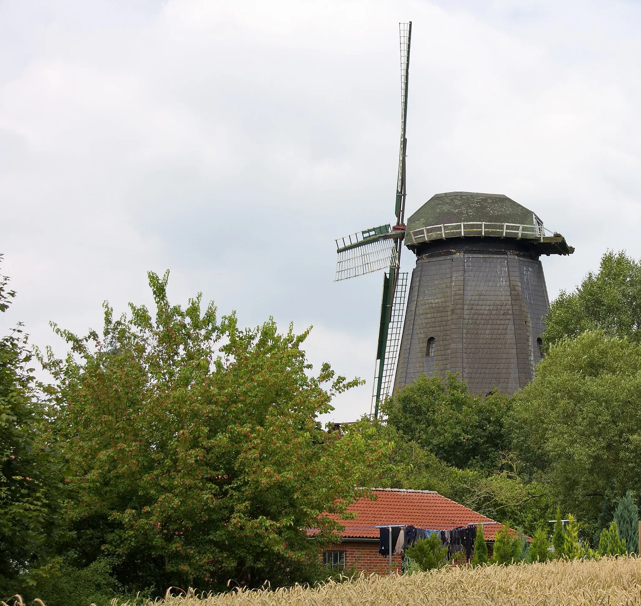 Photo showing: Windmühle in Holtum Geest (Kirchlinteln)