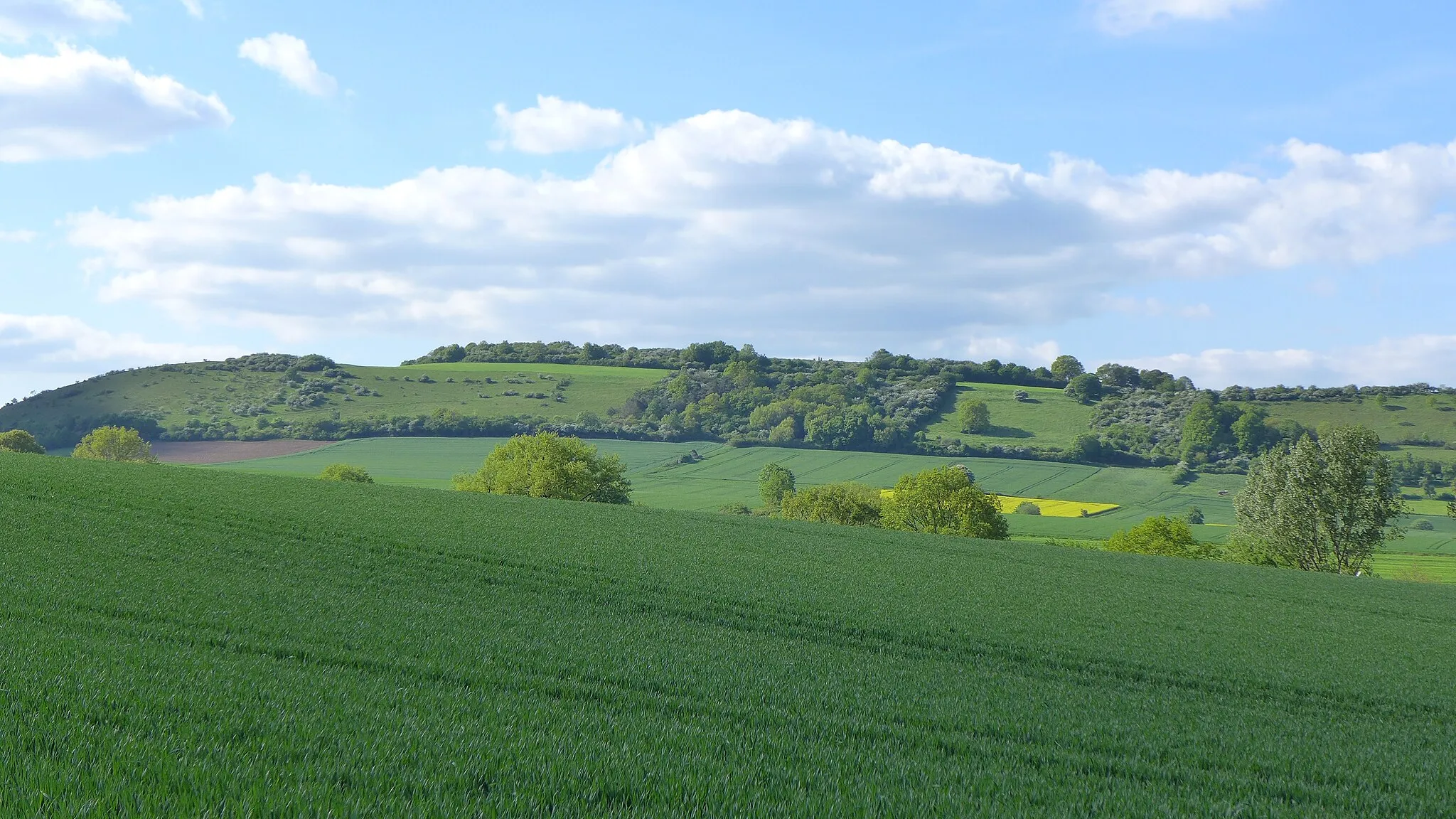 Photo showing: Blick aufs NSG Heukenberg in Niedersachsen