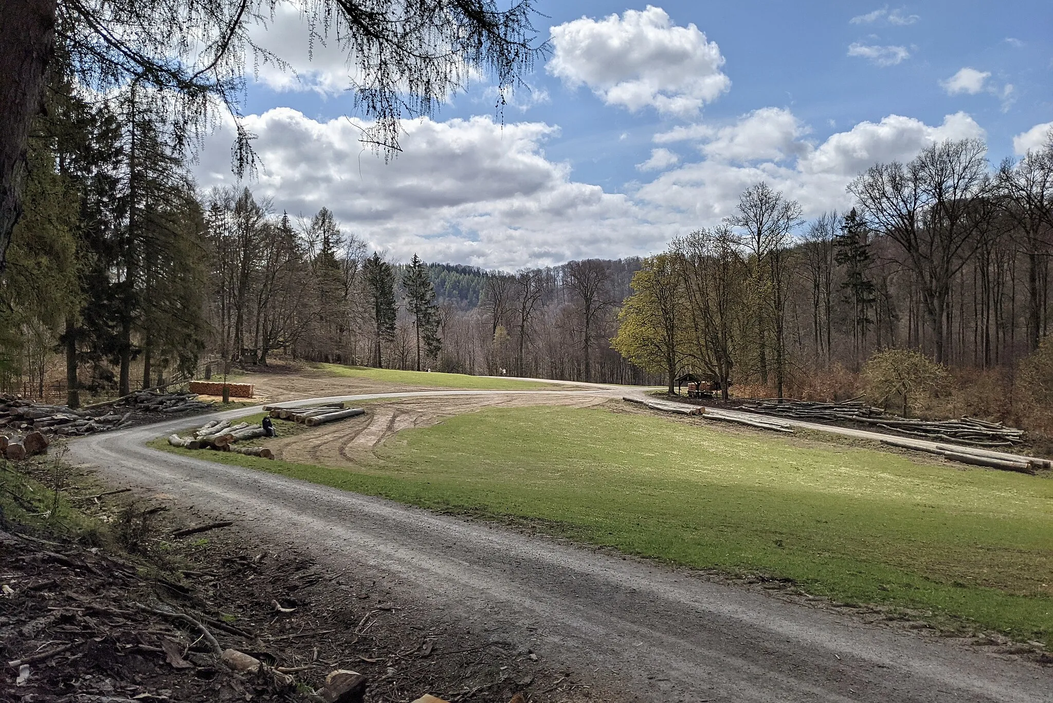 Photo showing: Naturschutzgebiet "Saupark", (Kennzeichen: NSG HA 025[1])