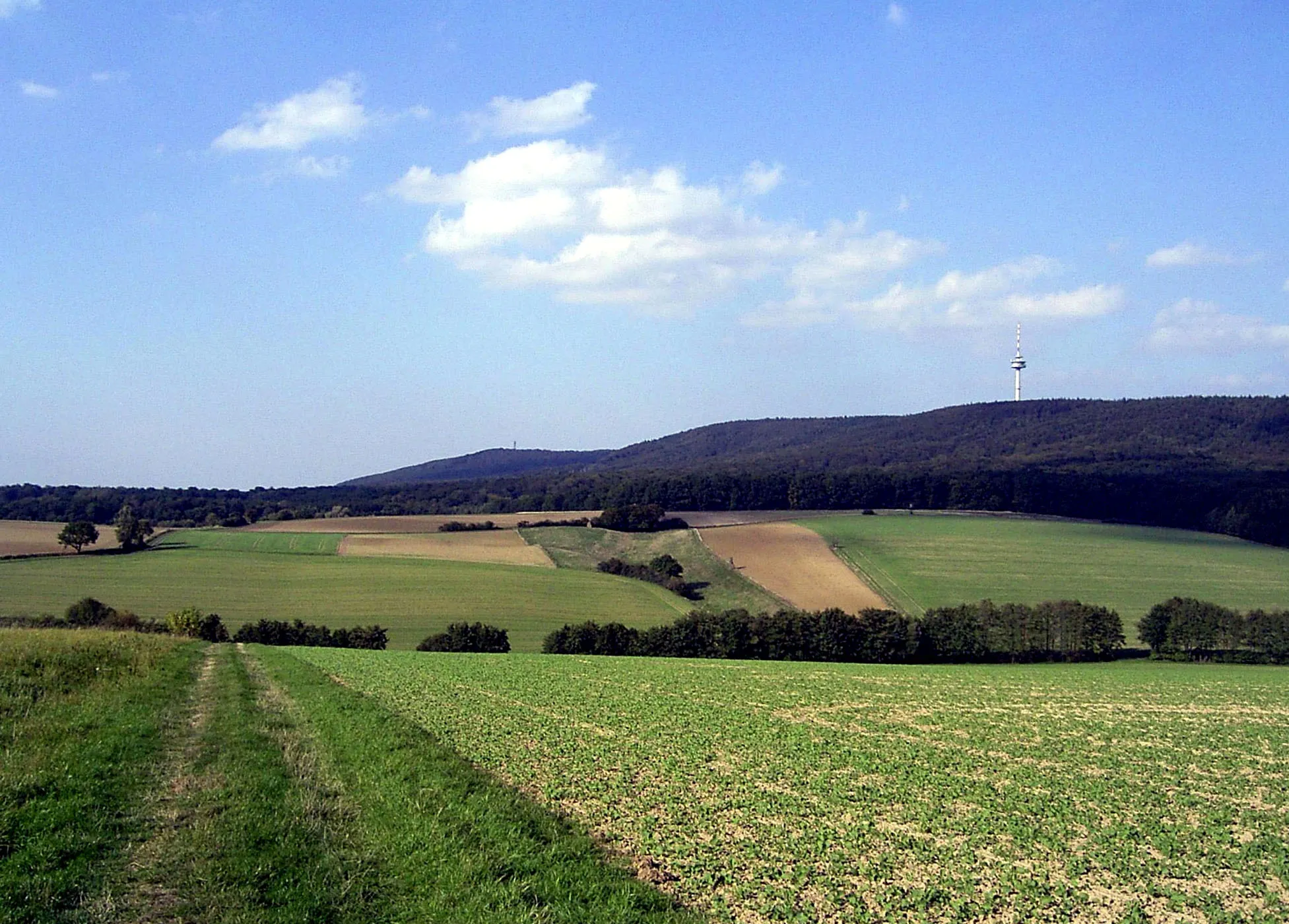 Photo showing: Deister - Westseite bei Lauenau