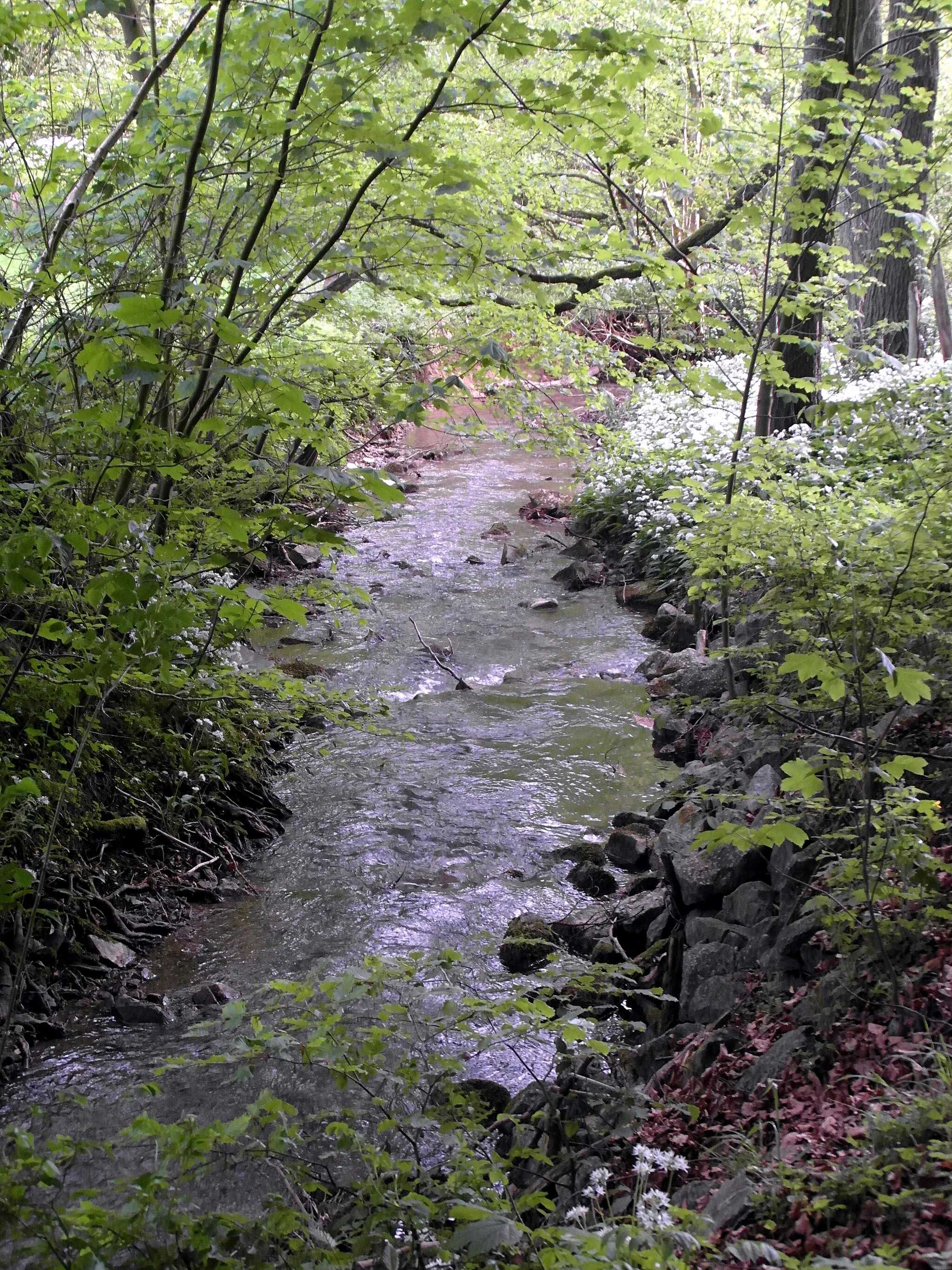 Photo showing: Der Walterbach im Naturschutzgebiet NSG HA 124 Walterbachtal