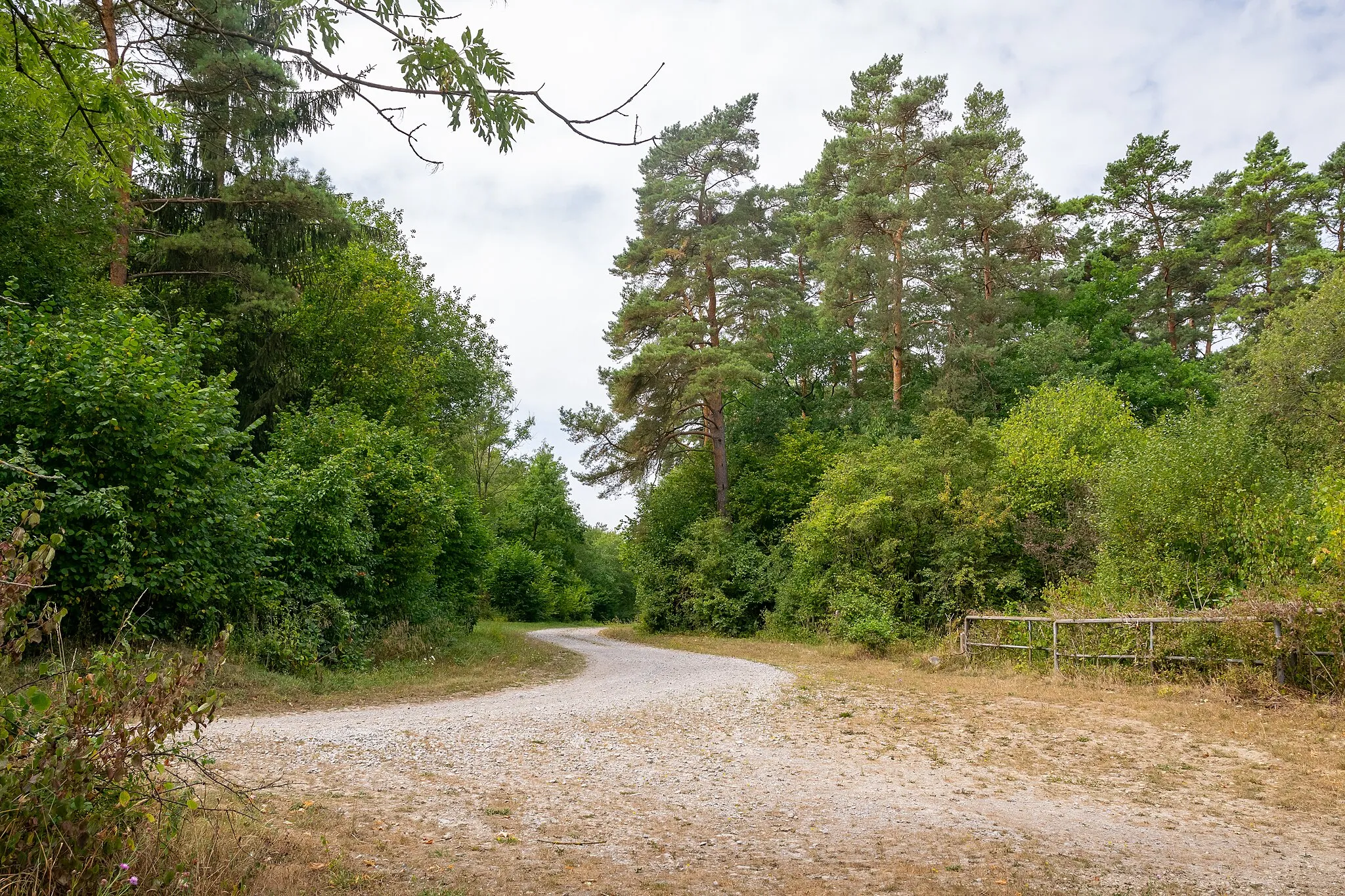 Photo showing: Naturschutzgebiet Bielenberg bei Höxter, Grenze Standortübungsplatz