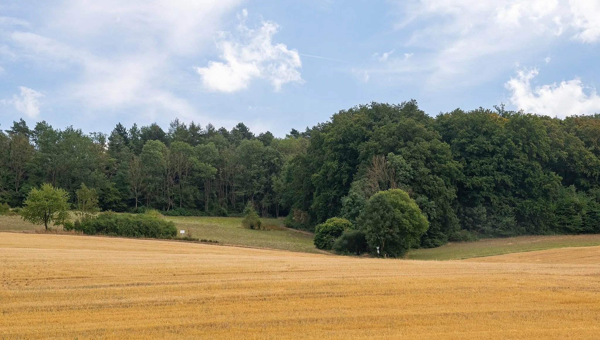 Photo showing: Naturschutzgebiet Bielenberg bei Höxter