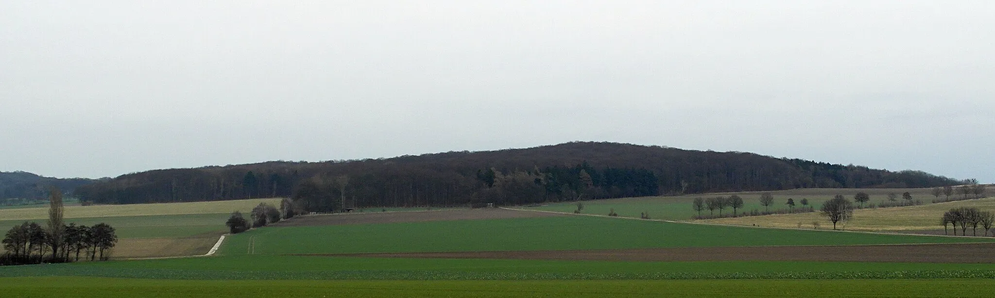 Photo showing: Blick auf den Suerser Berg, den südlichen Gipfel des Gehrdener Berg in der Region Hannover in Niedersachsen. Aufgenommen vom Rand der Bönnigser Straße, der Kreisstraße 229 von Degersen Richtung Lemmie
