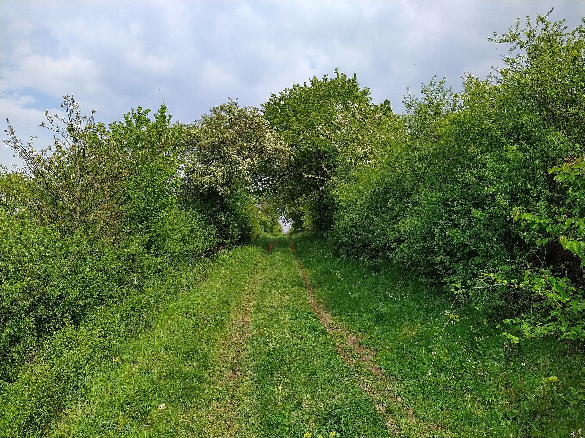 Photo showing: Lüdenberg mit gleichnamigen Landschaftsschutzgebiet bei Lügde-Elbrinxen, Kreis Lippe