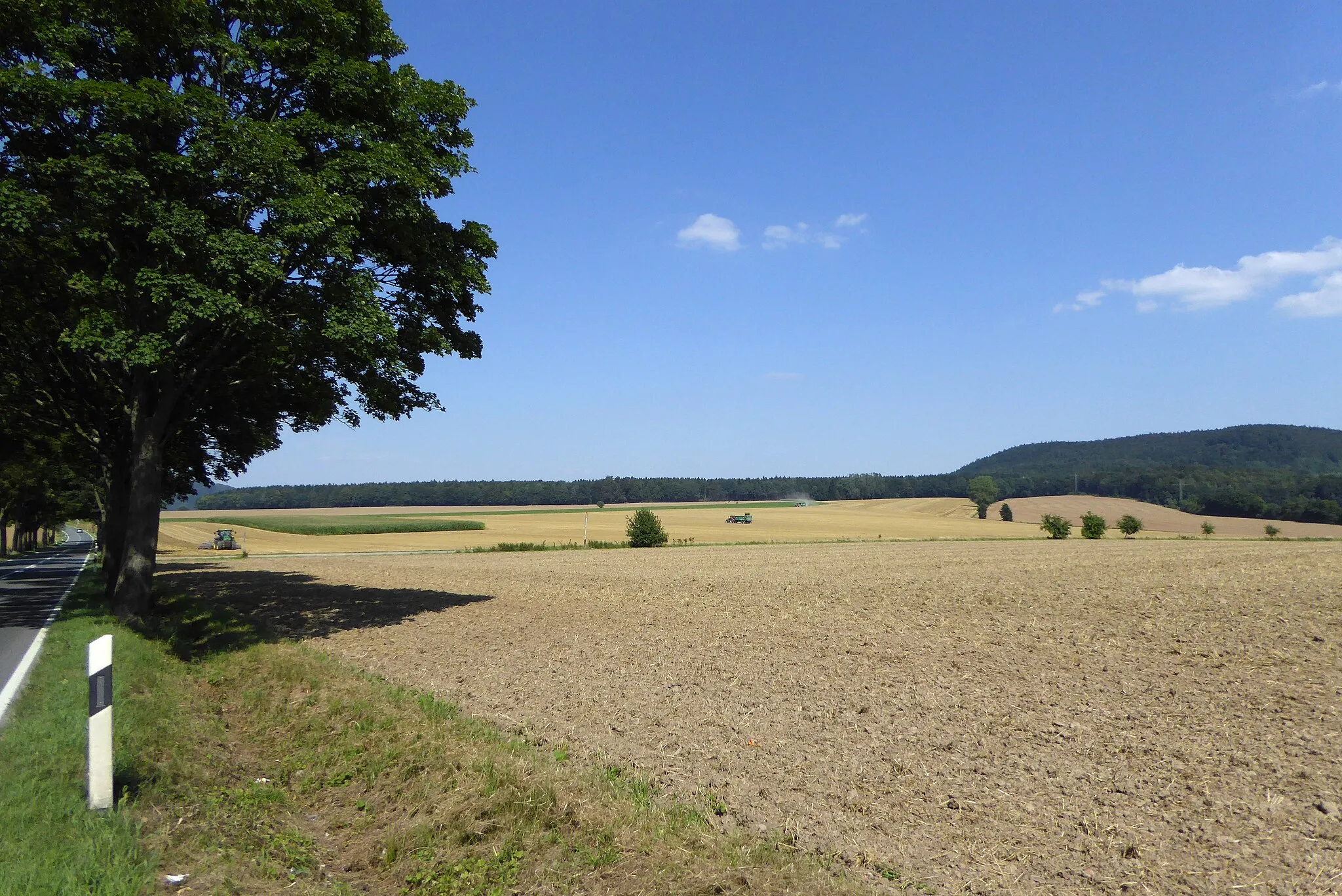 Photo showing: Blick von Süden über den Ostteil des Odfeldes zwischen Stadtoldendorf, Homburg, Amelungdborn und Holenberg im Landkreis Holzminden. Links die Landstraße 581, ganz rechts hinten der Homburgwald (Kohlenberg), ganz links hinten hinter den Bäumen der Vogler (Piepenberg).