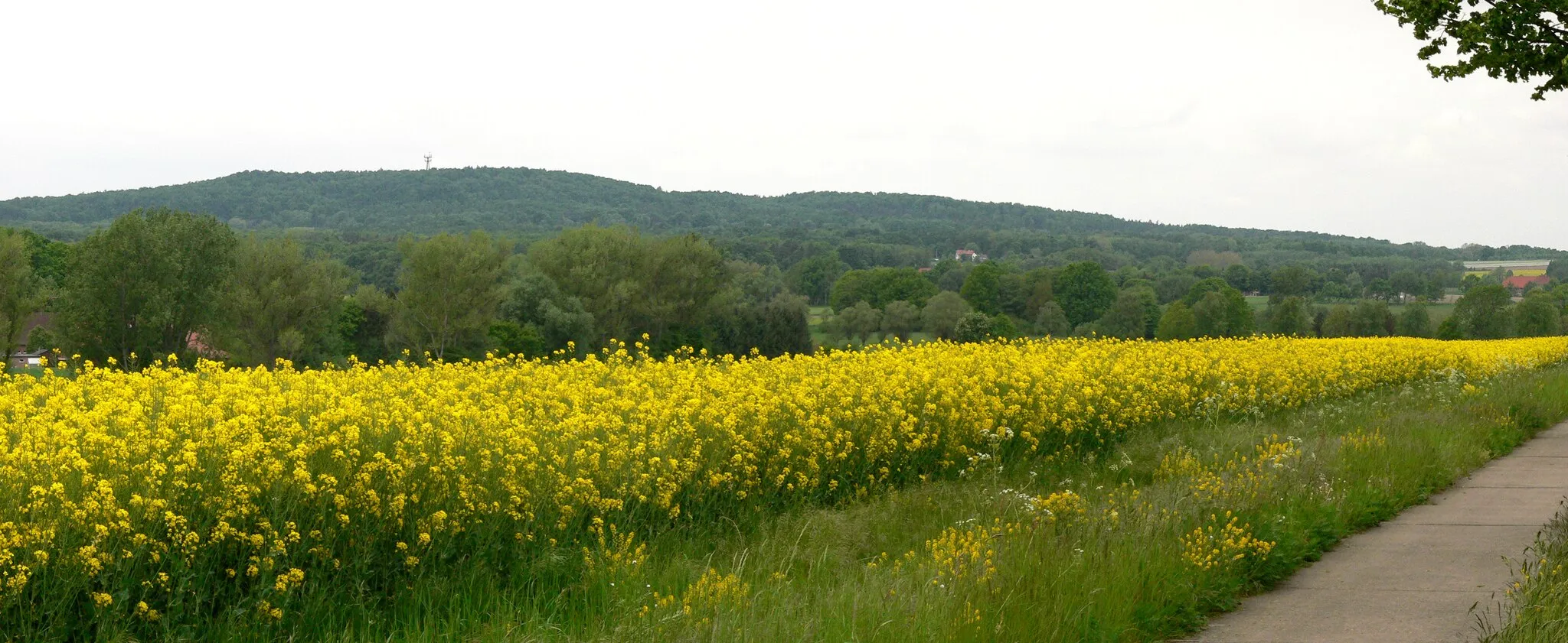 Photo showing: Rehburger Berge mit Brunnenberg von Winzlar gesehen