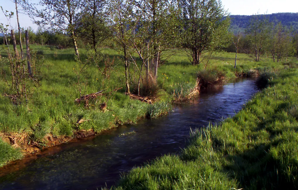 Photo showing: River "Haller" in Springe, Lower Saxony, Germany