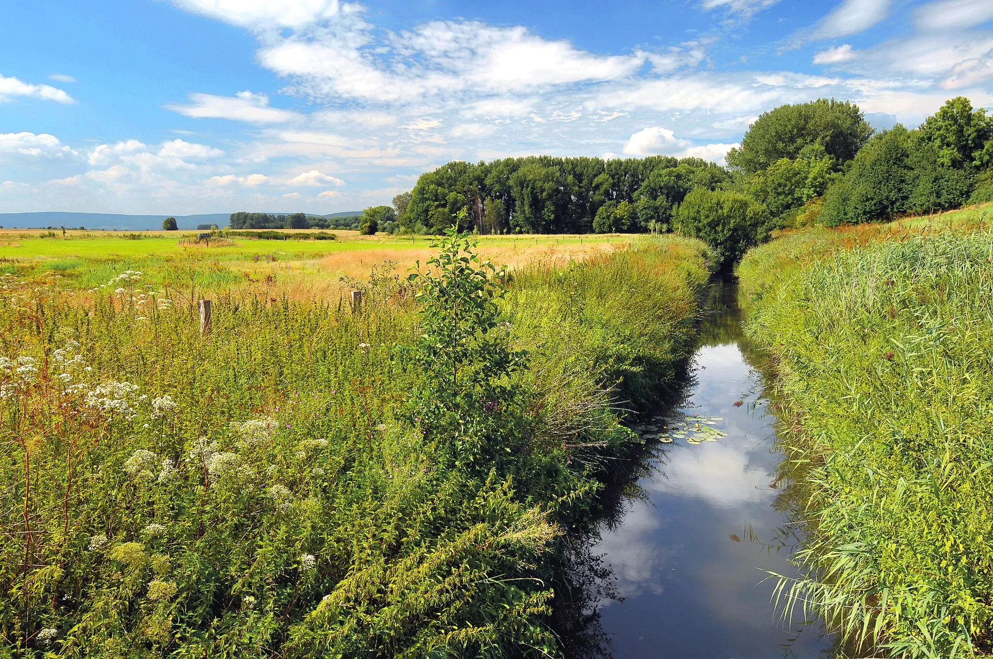 Photo showing: River "Haller" in Hallerburg, Nordstemmen, Lower Saxony, Germany