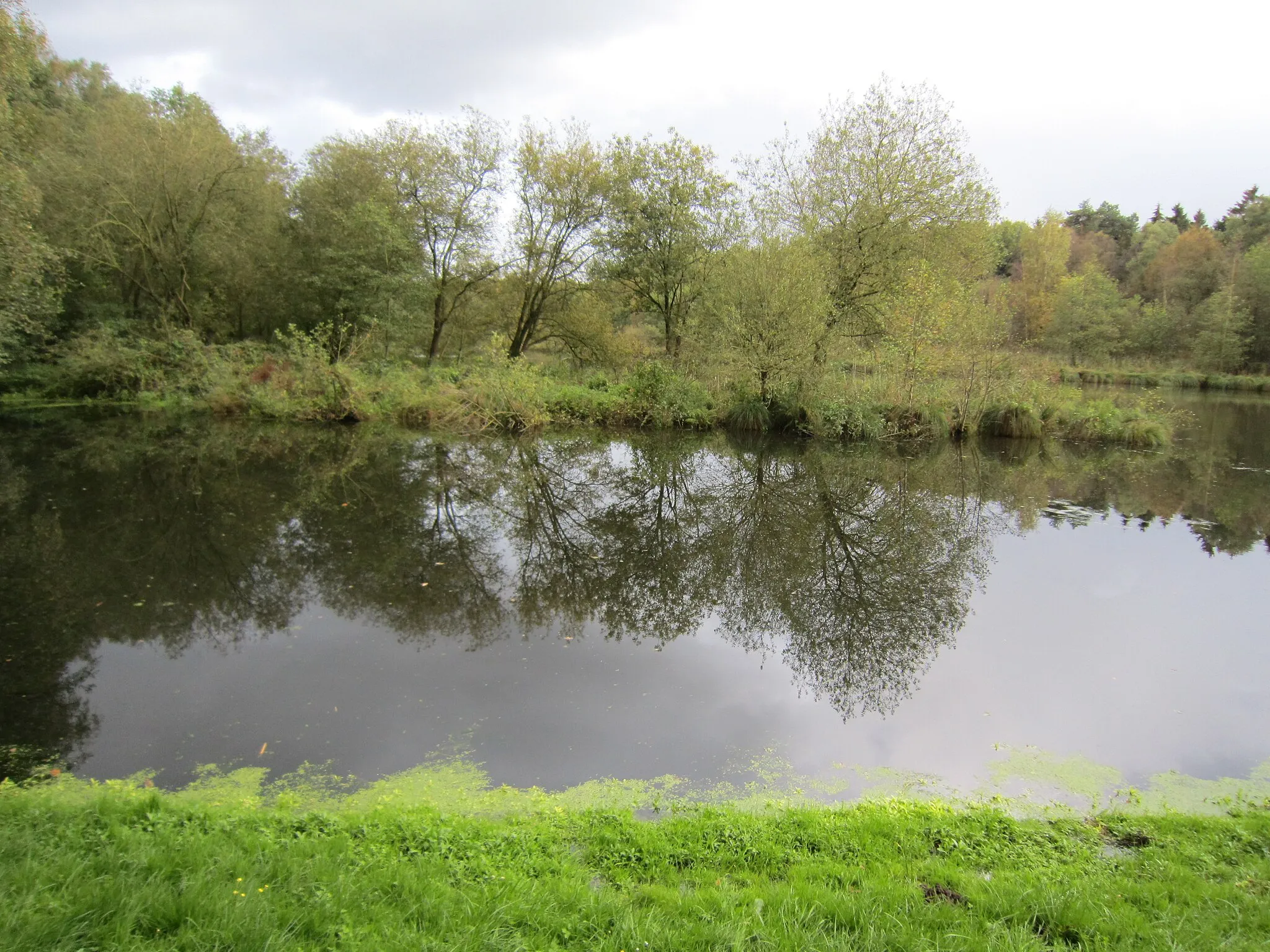 Photo showing: Aufgestaute Twillbäke im Naturschutzgebiet „Bäken der Endeler und Holzhauser Heide“ bei der Bullmühle (Gemeinde Visbek, Landkreis Vechta, Niedersachsen)