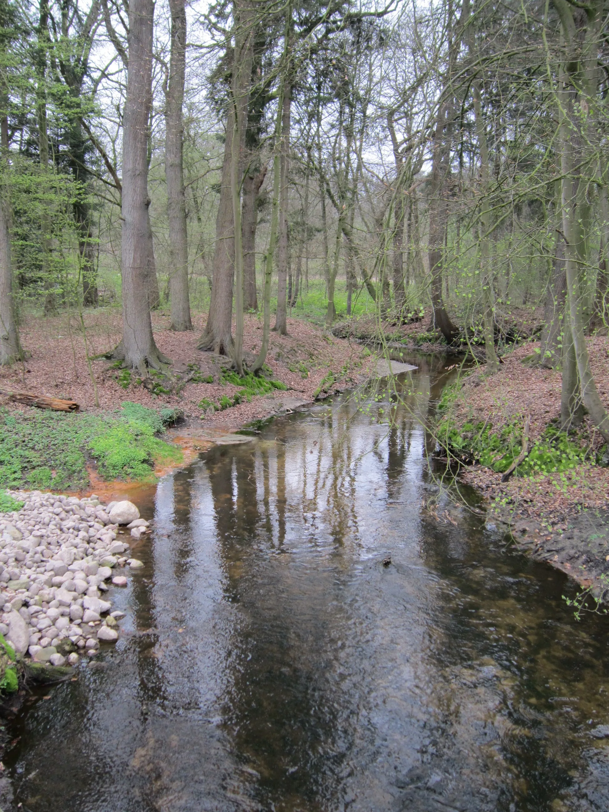 Photo showing: Twillbäke bei der Bullmühle (Gemeinde Visbek, Landkreis Vechta, Niedersachsen)