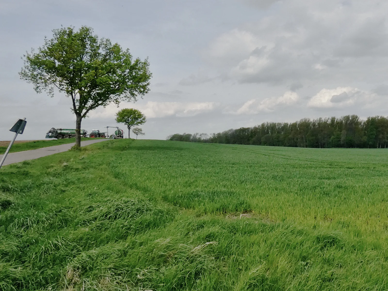 Photo showing: Der Wehmberg bei Sarstedt wird beackert