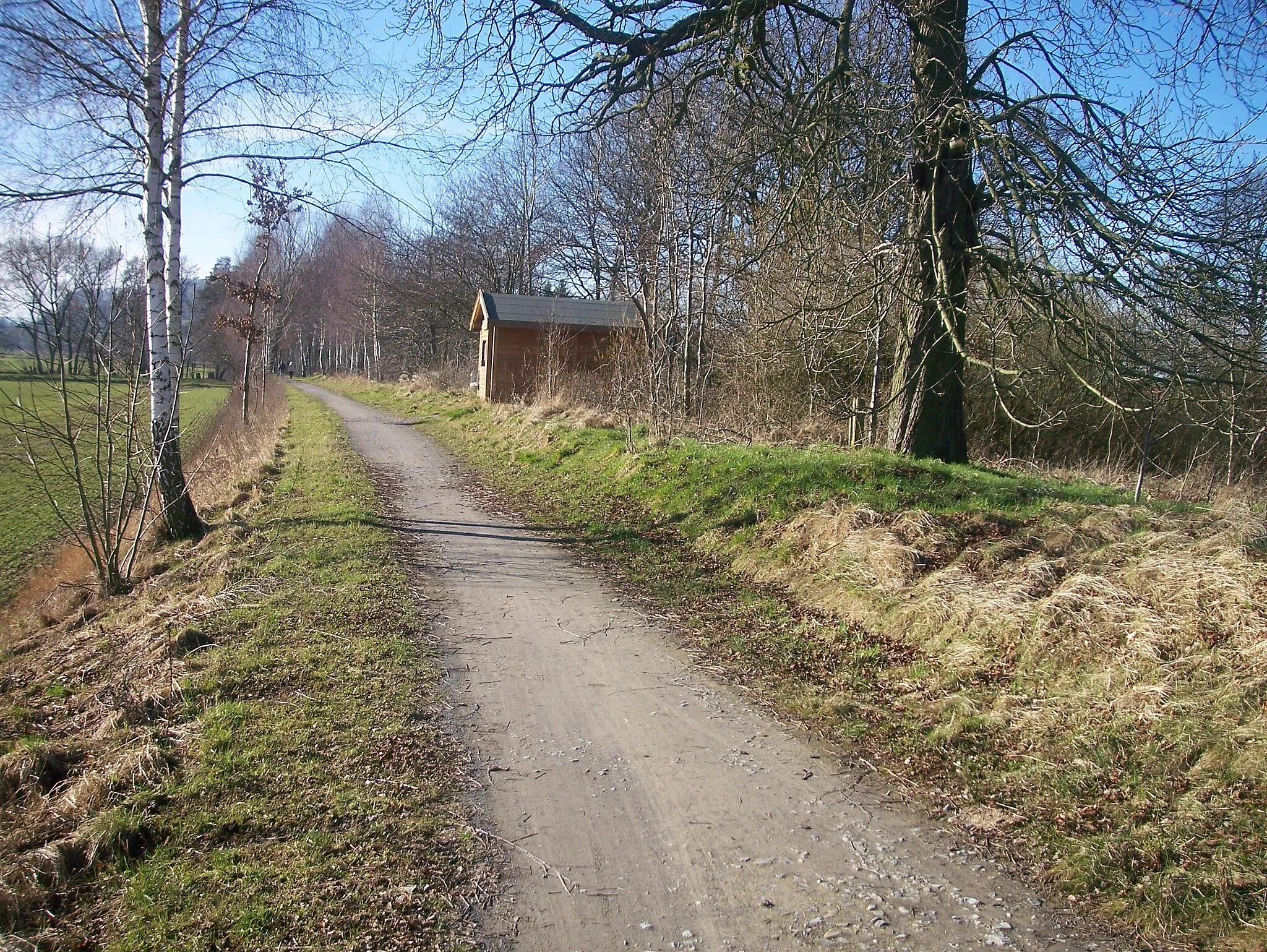 Photo showing: Ehemaliger Haltepunkt Selxen (Bahnstrecke Hameln-Lage)