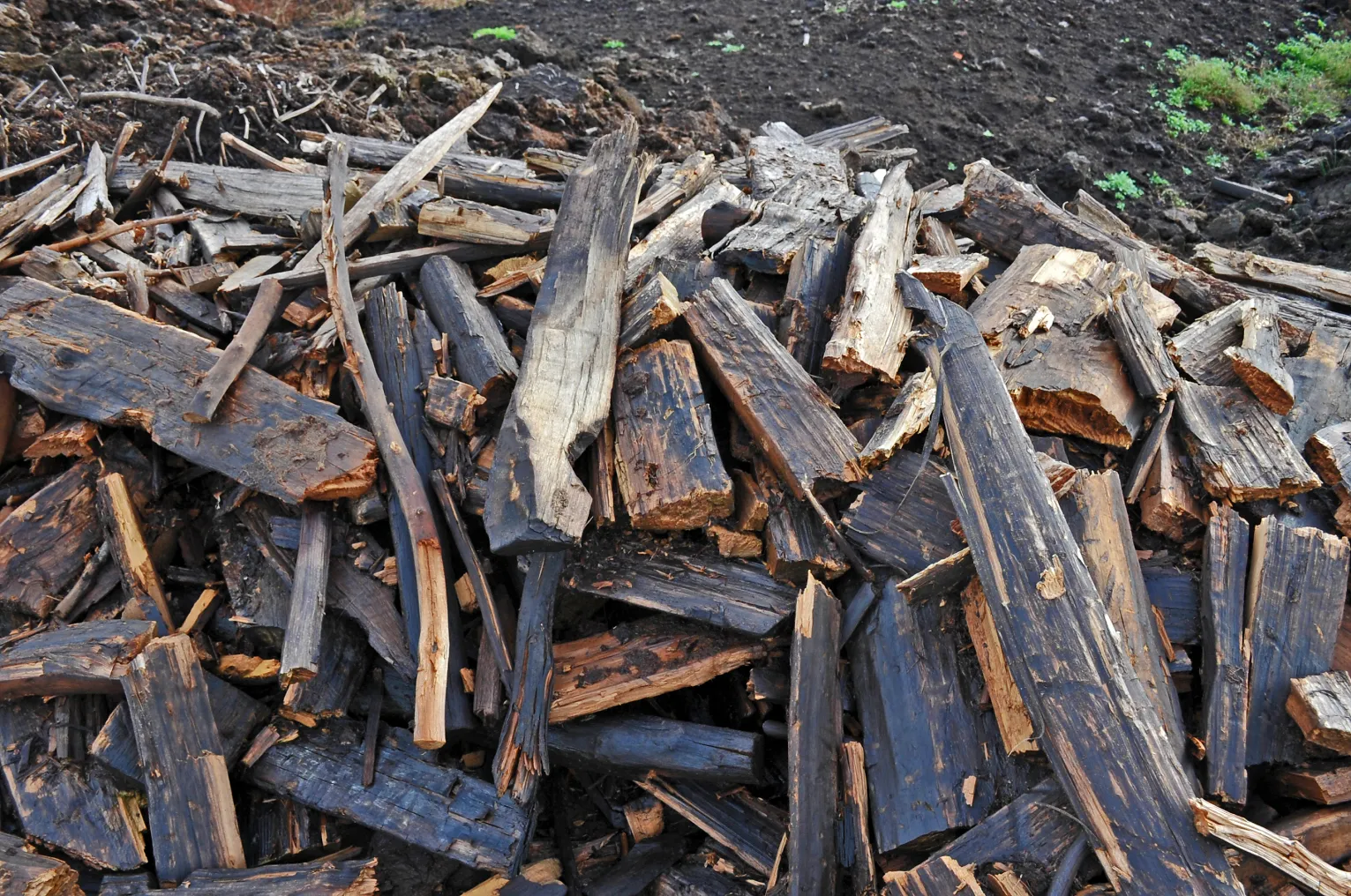Photo showing: Moorweg im Aschener Moor, Holzhaufen mit Hölzern des Moorweges nach ihrer Ausgrabung