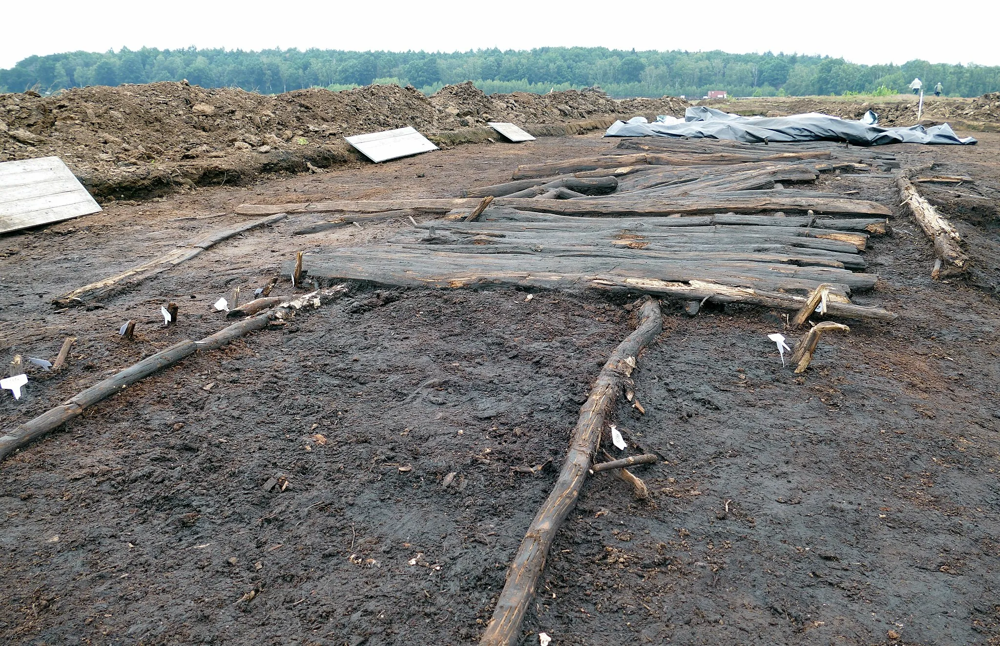 Photo showing: Grabung am Bohlenweg VI im Aschener Moor bei Diepholz