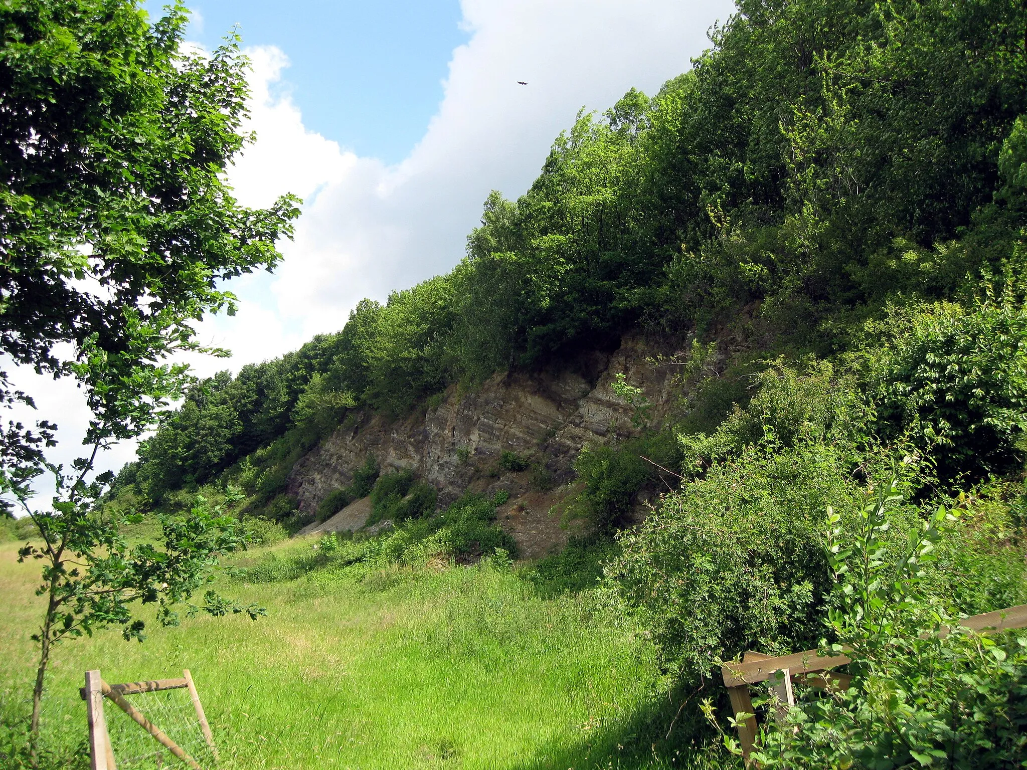 Photo showing: Aufgelassener Steinbruch am Westhang des Eiberges in in Vlotho, Kreis Herford, Nordrhein-Westfalen.