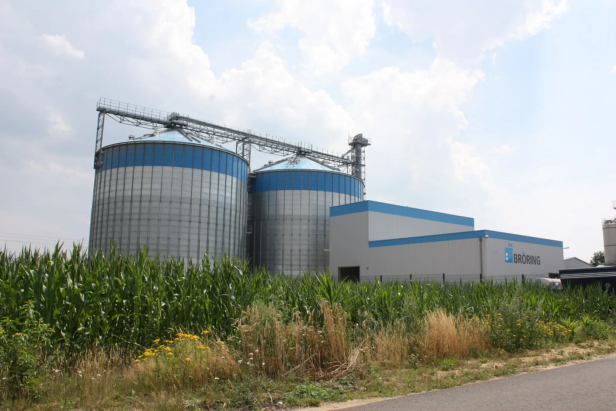 Photo showing: Barnstorf, Landkreis Diepholz, Niedersachsen; Firma Bröring in Barnstorf: Futtermittelproduktion und im Agrarhandel