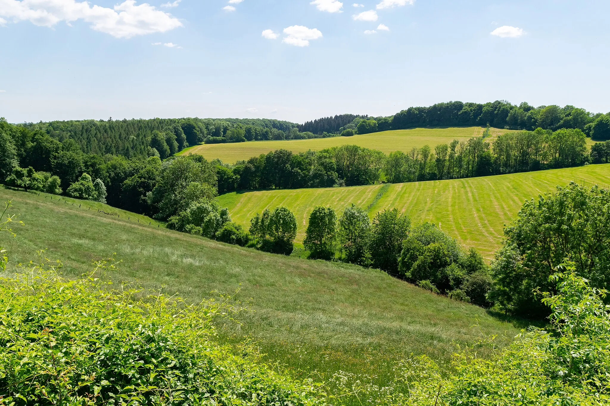 Photo showing: Landschaftsschutzgebiet Durch Täler und Rinnen gegliederte waldfreie Muschelkalk-Hangzone bei Bosseborn in Höxter