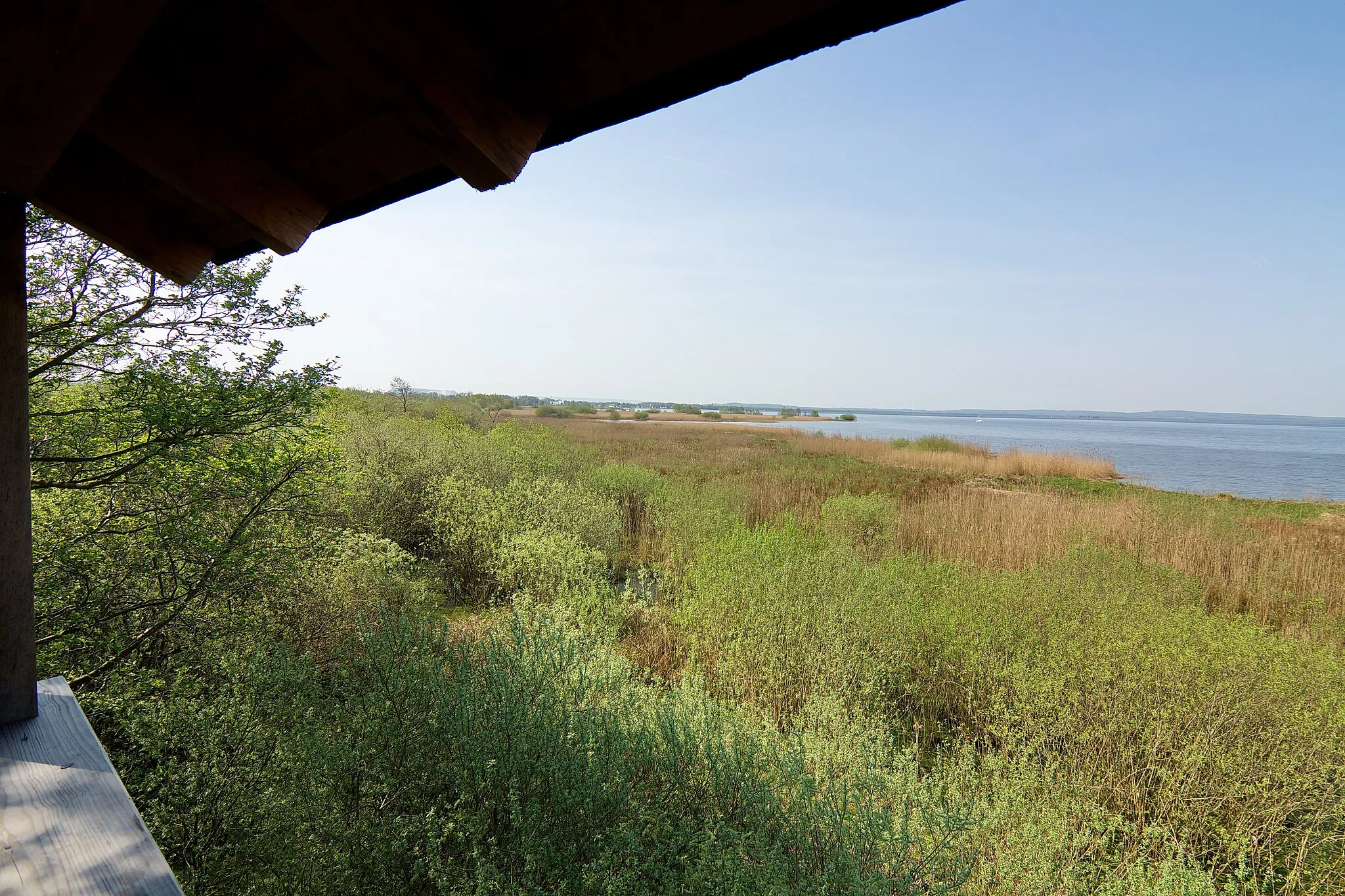 Photo showing: NSG HA 154 - Totes Moor - Ostufer Steinhuder Meer, Niedersachsen, Deutschland