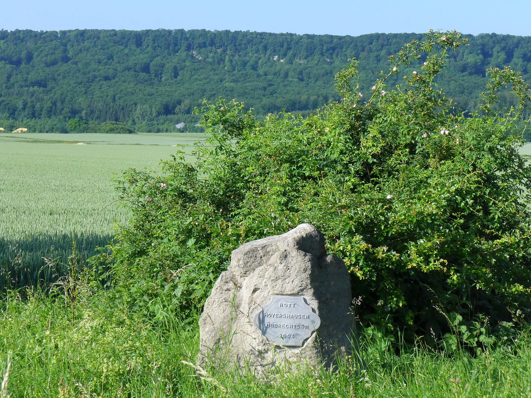 Photo showing: Rott Hoyershausen Lübbrechtsen 2004 - ein Gedenkstein an der Landstraße