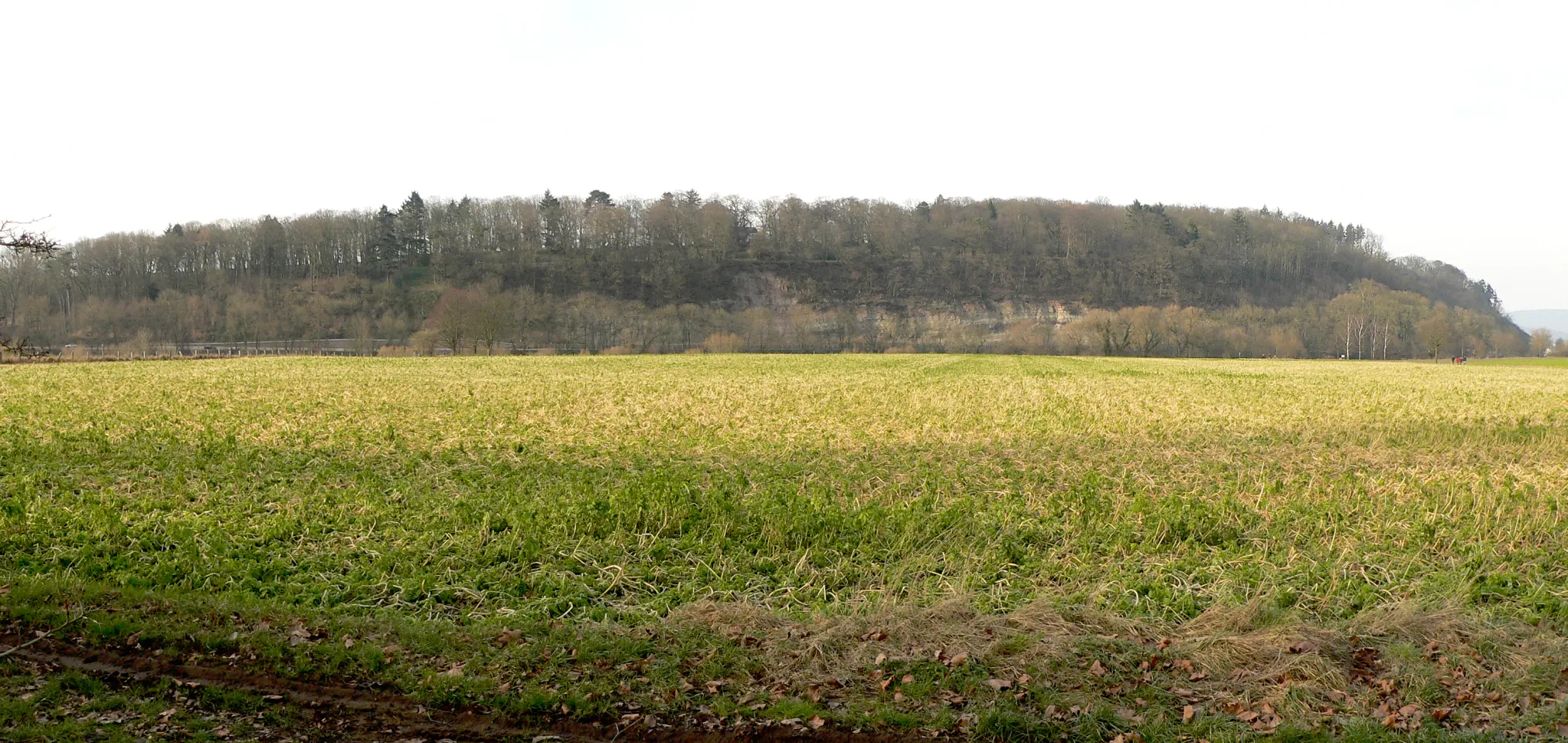 Photo showing: Panorama des Ohrberg