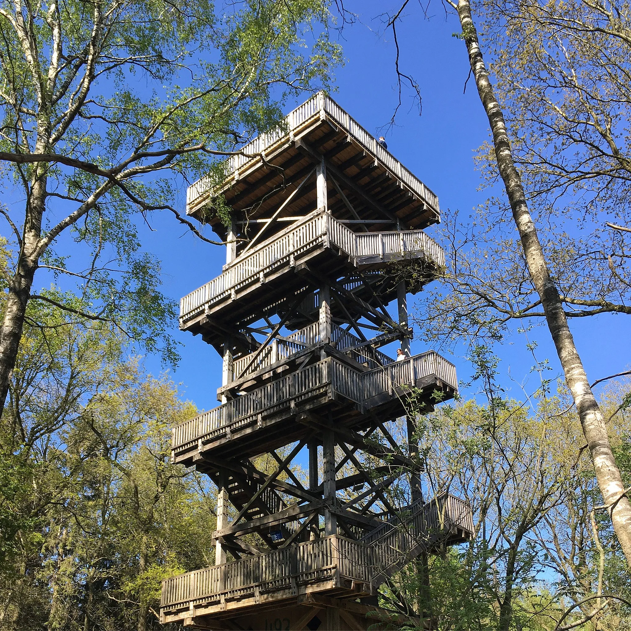 Photo showing: Der Aussichtsturm auf dem Mordkuhlenberg in den Dammer Bergen.