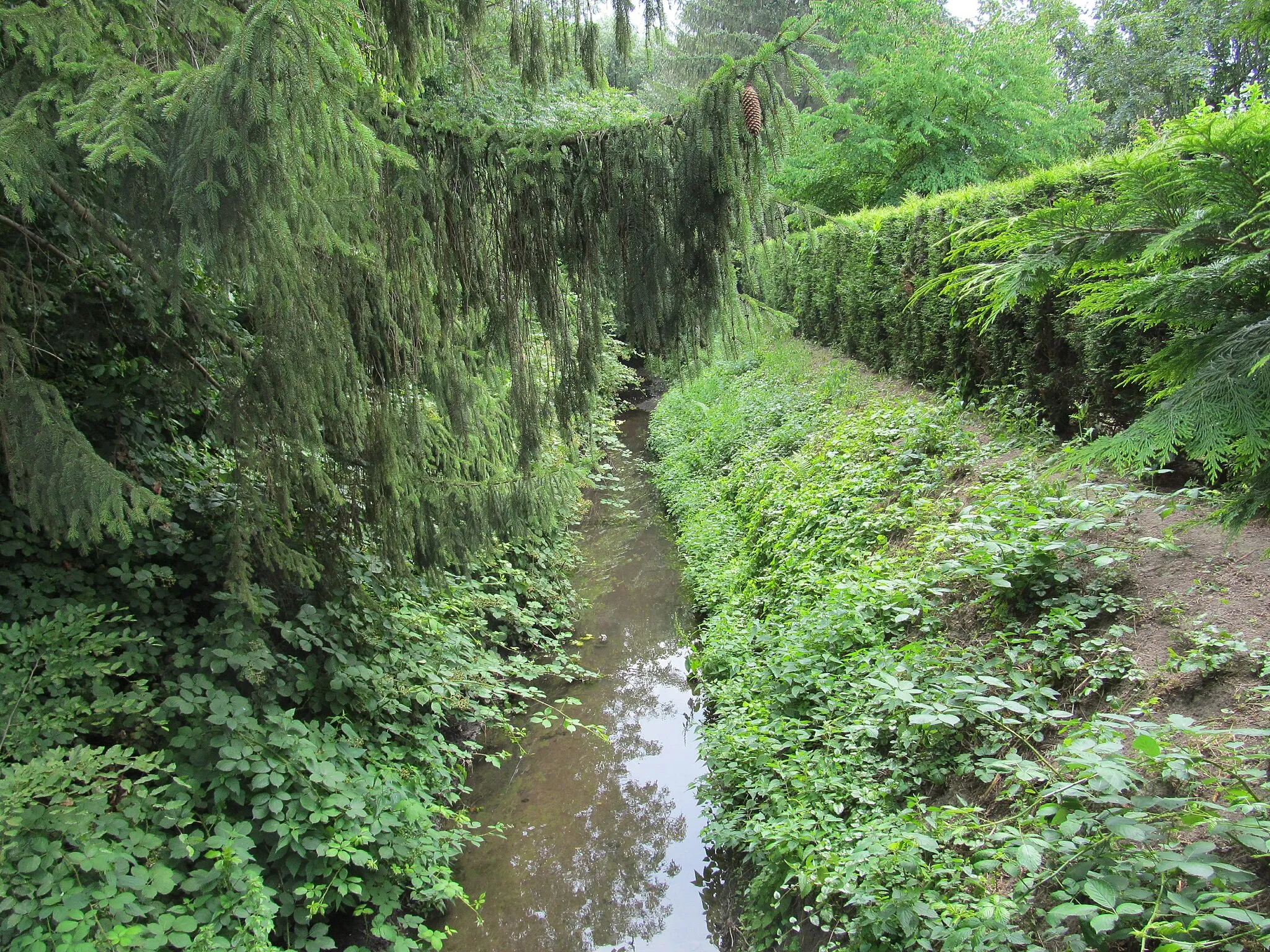 Photo showing: die Hülse oberhalb der Teichstraße in Stadthagen